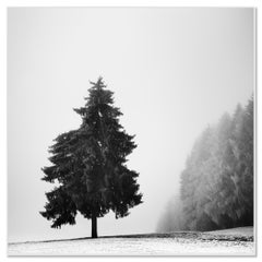 Weihnachtsbaum, Winterlandschaft, monochrome Landschaft limitierter Druck