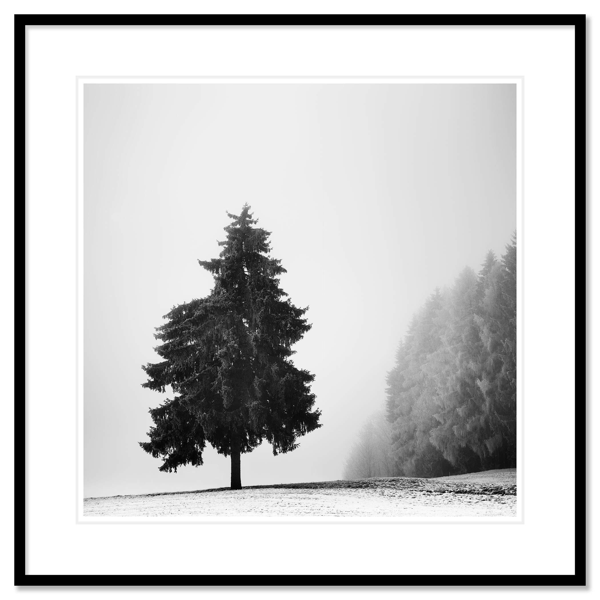 Arbre de Noël, paysage d'hiver, impression limitée de paysage monochrome en vente 1