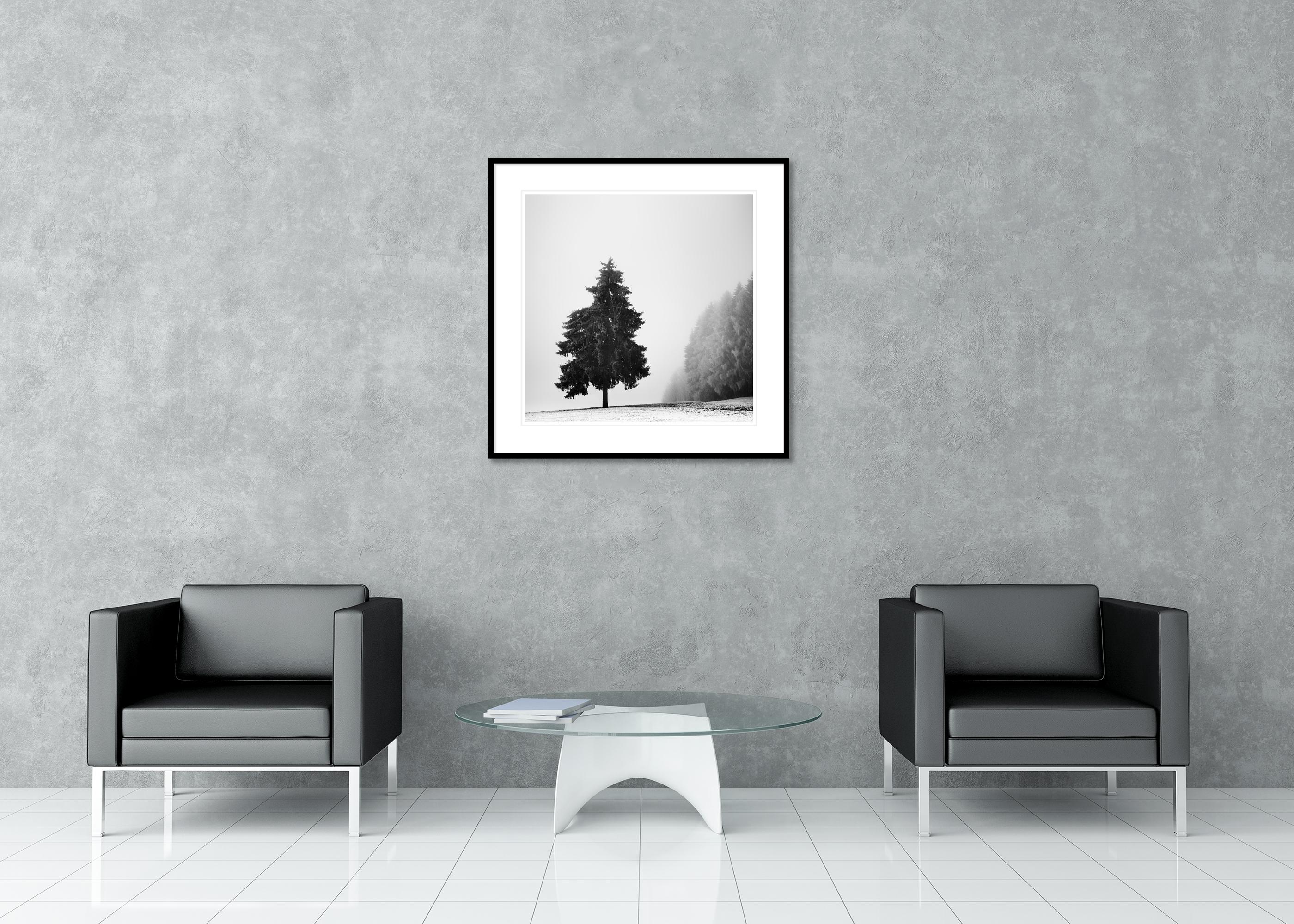 Arbre de Noël, paysage d'hiver, impression limitée de paysage monochrome en vente 2