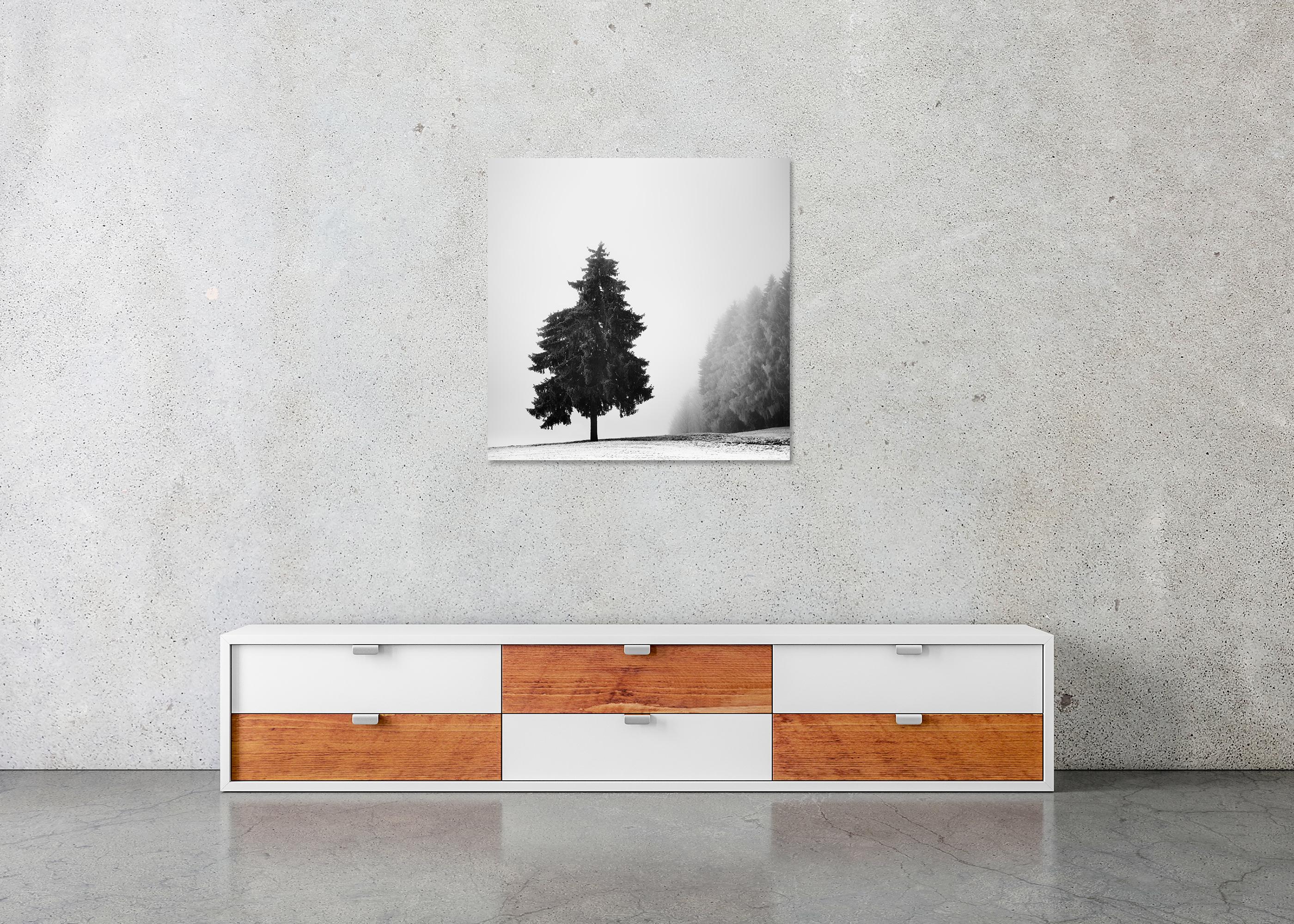 Arbre de Noël, paysage d'hiver, impression limitée de paysage monochrome en vente 4