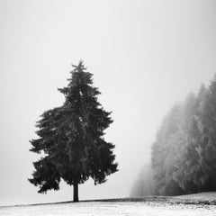 Schwarz-Weiß-Fotografie
