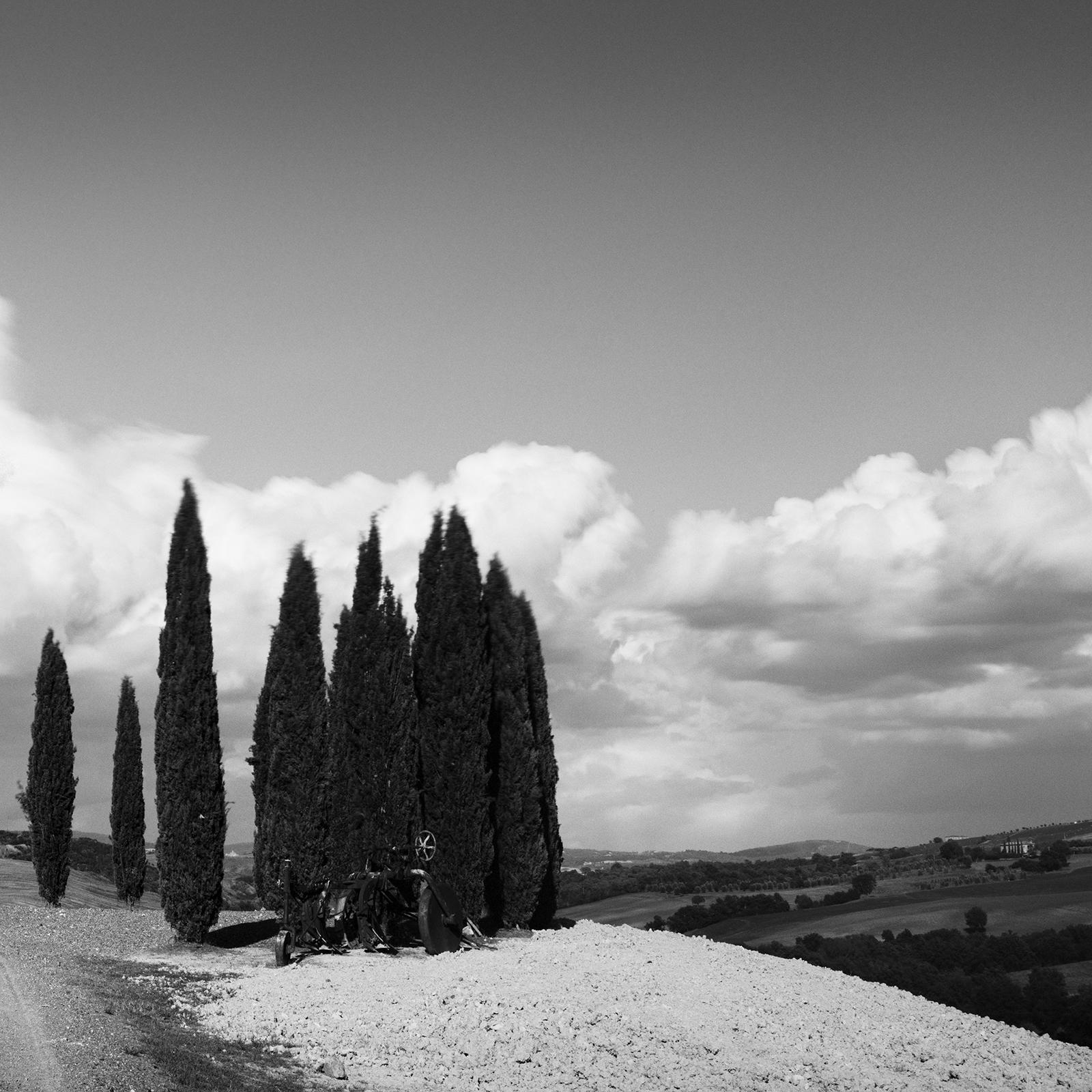 Circle of Cypress Trees, Tuscany, black and white art photography, landscape For Sale 4