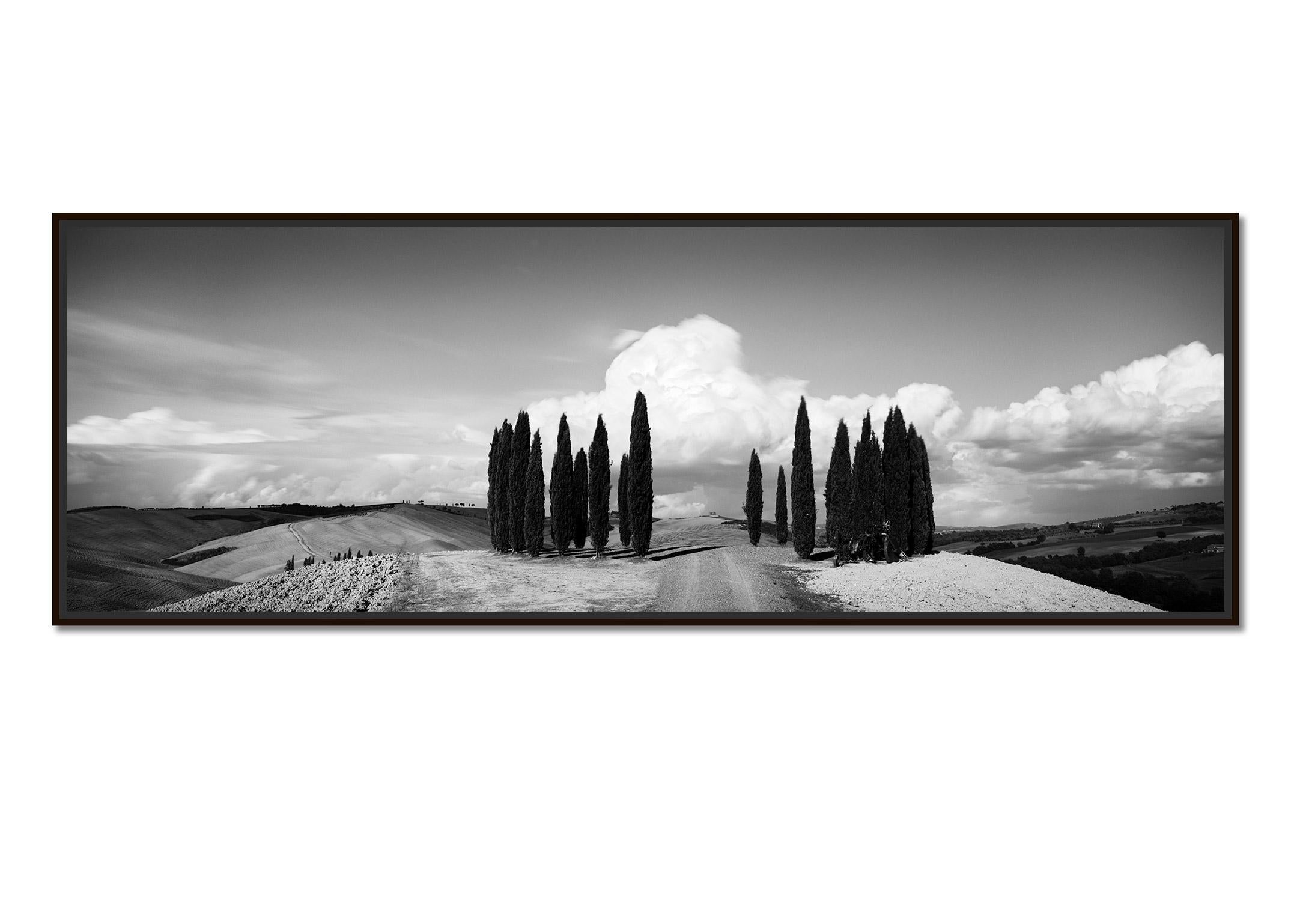 Circle of Cypress Trees, Tuscany, black and white art photography, landscape - Photograph by Gerald Berghammer