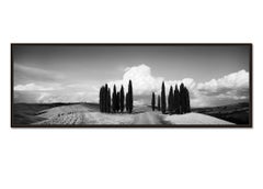 Circle of Cypress Trees, Tuscany, black and white art photography, landscape