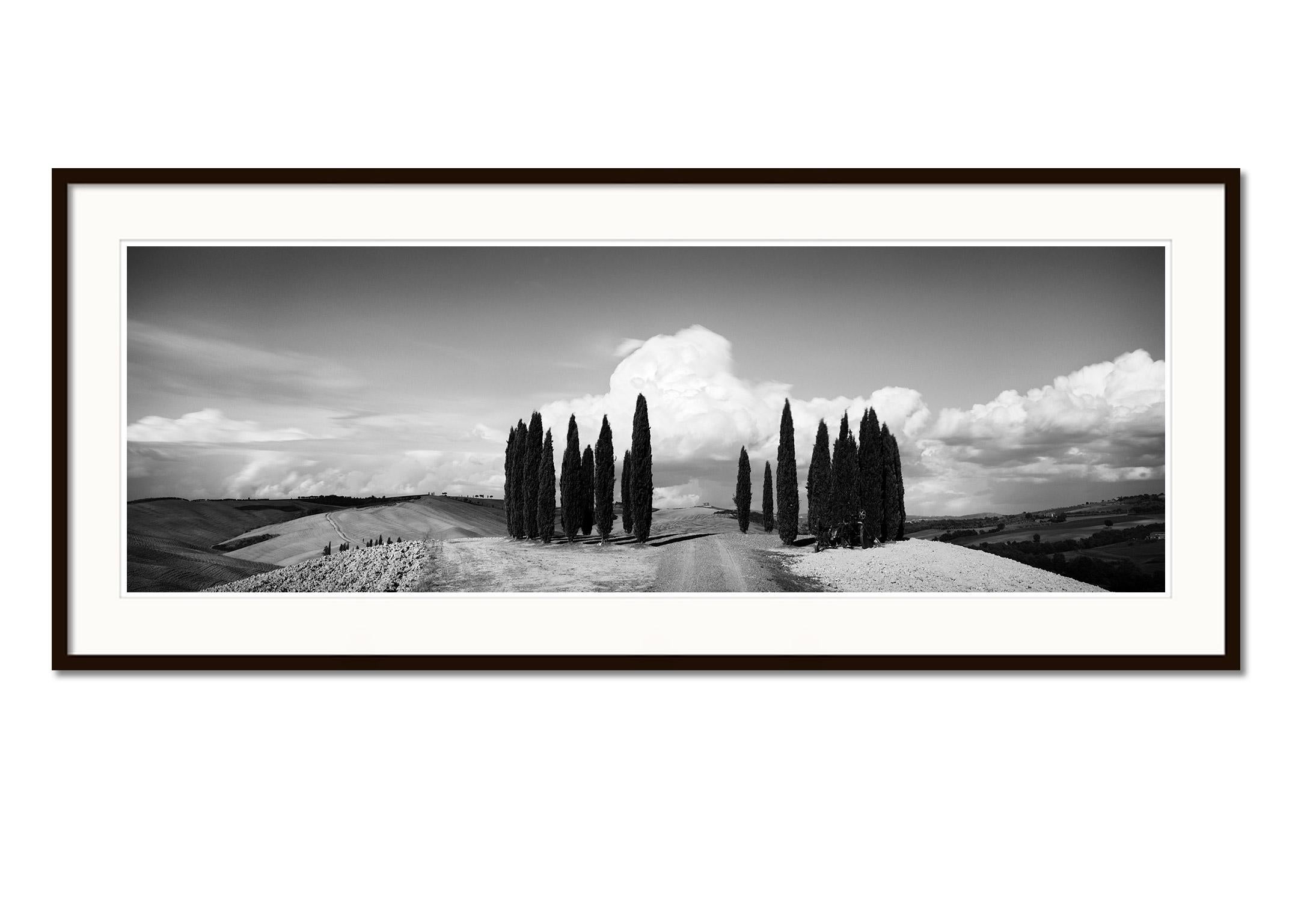 Circle of Cypress Trees, Tuscany, black and white art photography, landscape - Contemporary Photograph by Gerald Berghammer