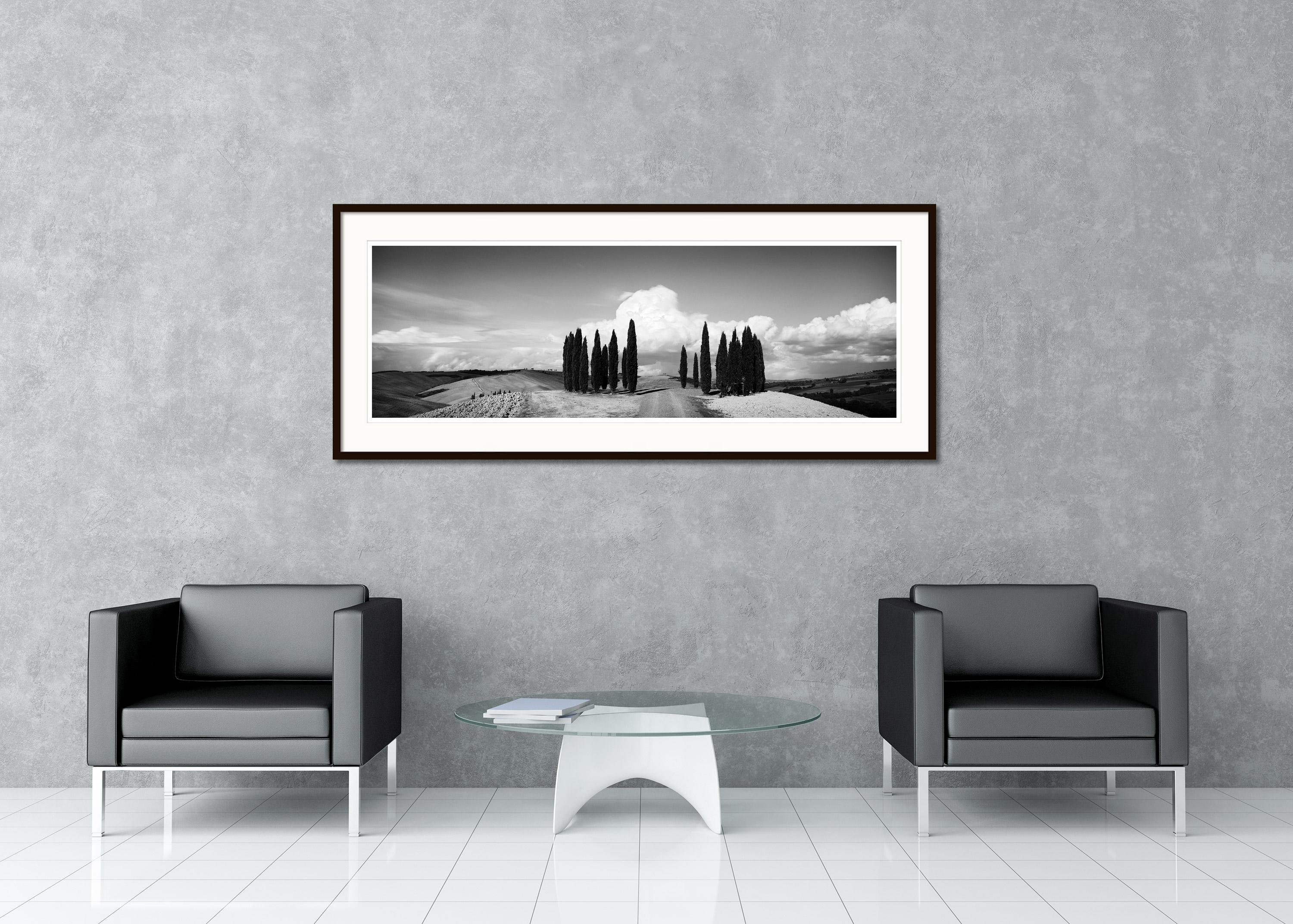Circle of Cypress Trees, Tuscany, black and white art photography, landscape - Gray Landscape Photograph by Gerald Berghammer