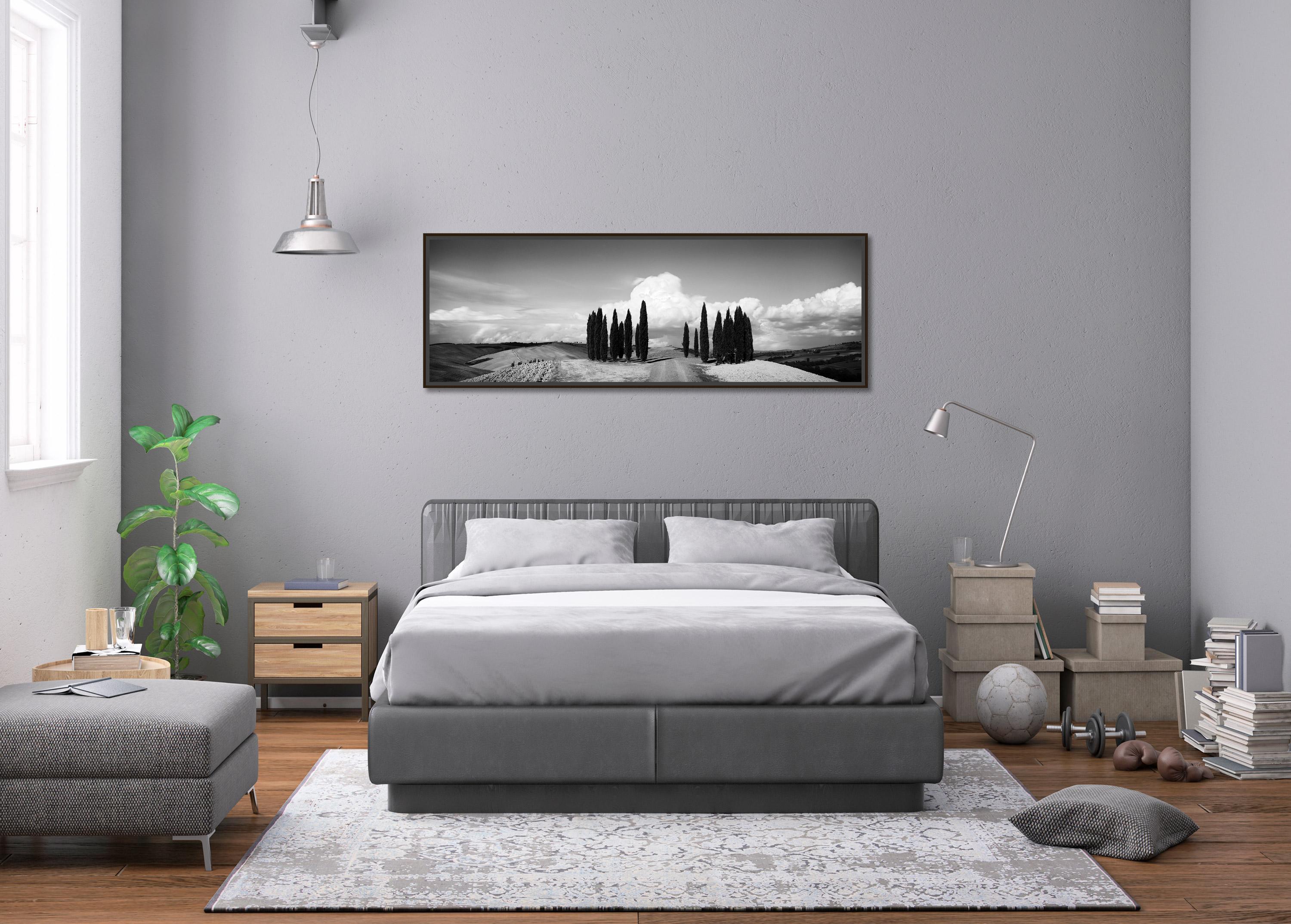 Black and white fine art panorama photography print. Cypress circle in the mountains of Tuscany, Italy with big clouds. Archival pigment ink print, edition of 9. Signed, titled, dated and numbered by artist. Certificate of authenticity included.