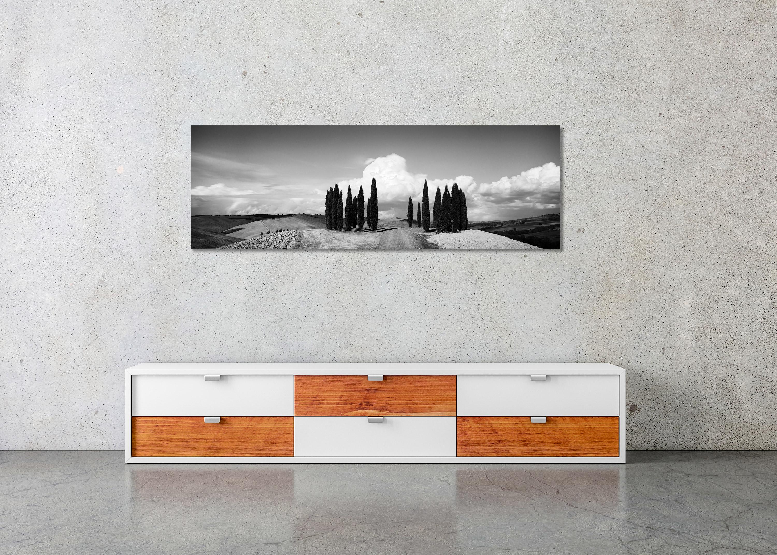 Circle of Cypress Trees, Tuscany, black and white art photography, landscape For Sale 1
