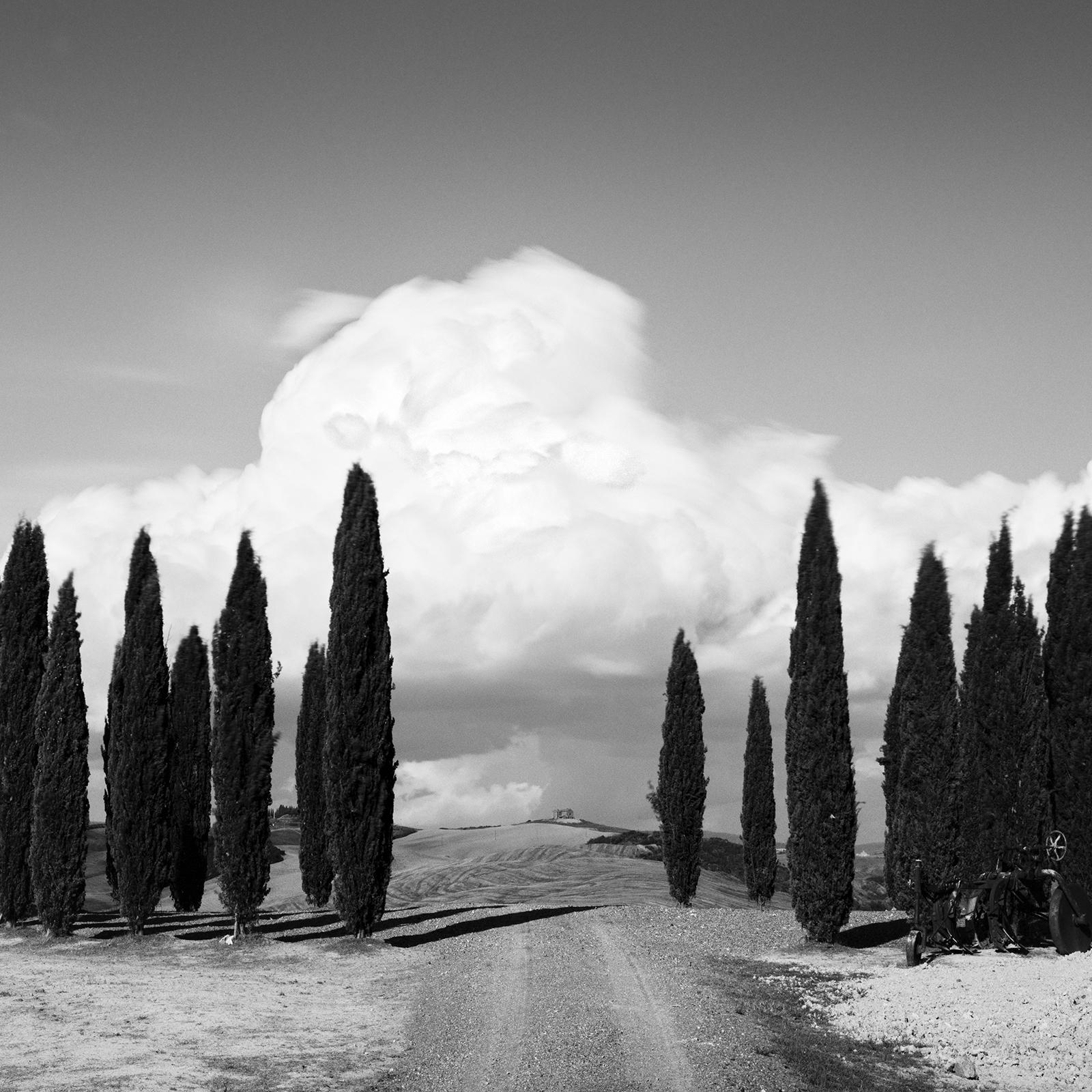 Circle of Cypress Trees, Tuscany, black and white art photography, landscape For Sale 2