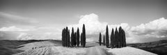 Circle of Cypress Trees, Tuscany, black and white art photography, landscape