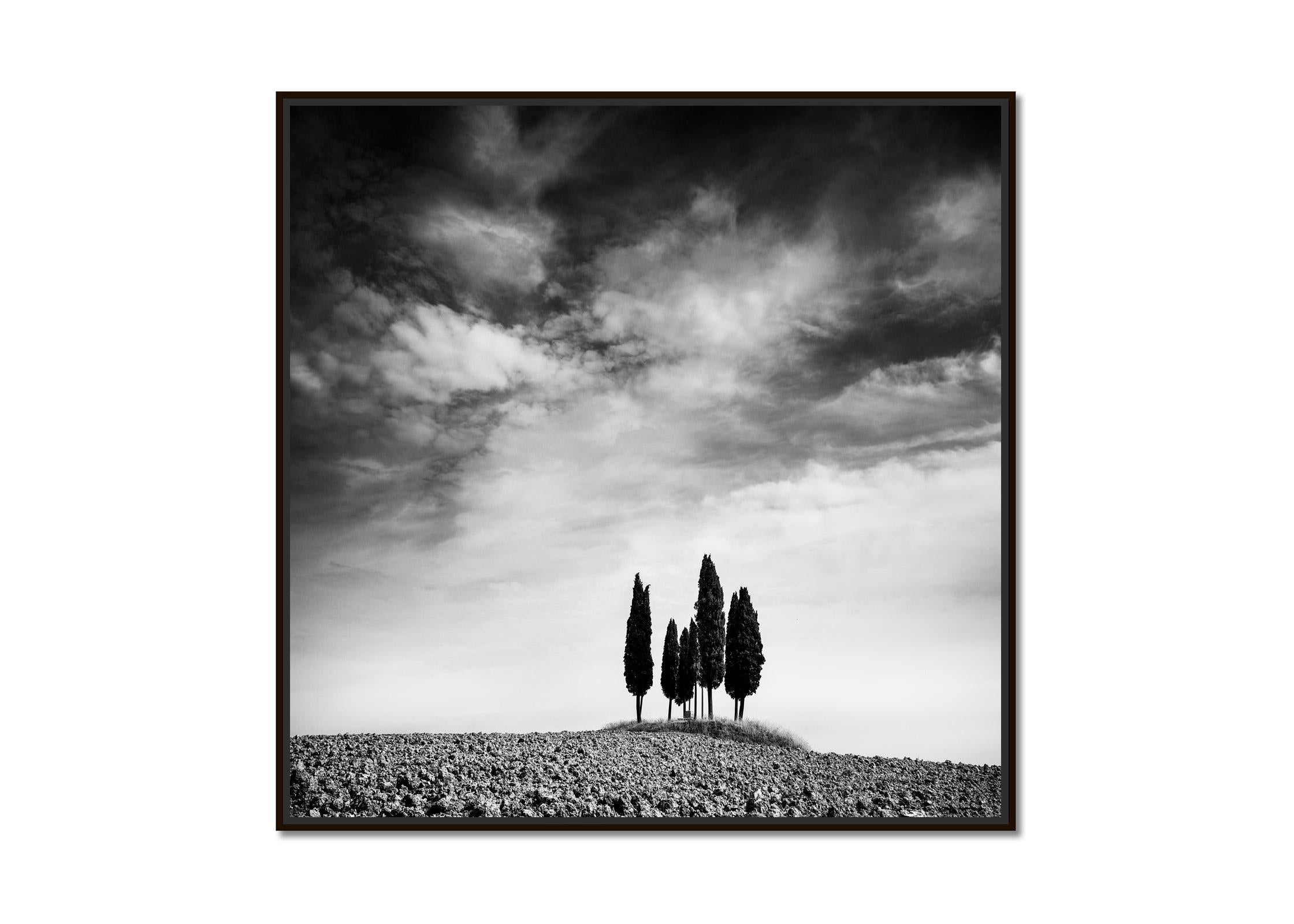 Circle of Cypress Trees, Tuscany, black and white landscape photography  - Photograph by Gerald Berghammer