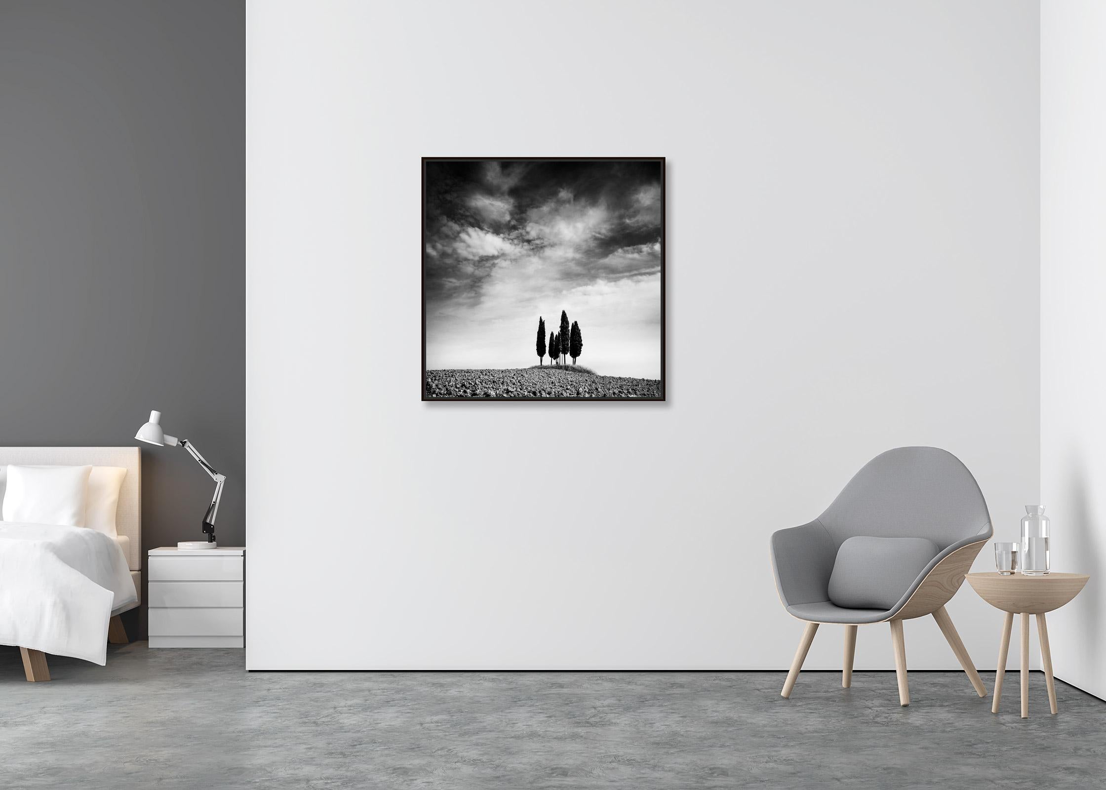 Kreis mit Zypressenbäumen, Toskana, Schwarz-Weiß-Landschaftsfotografie  (Zeitgenössisch), Photograph, von Gerald Berghammer
