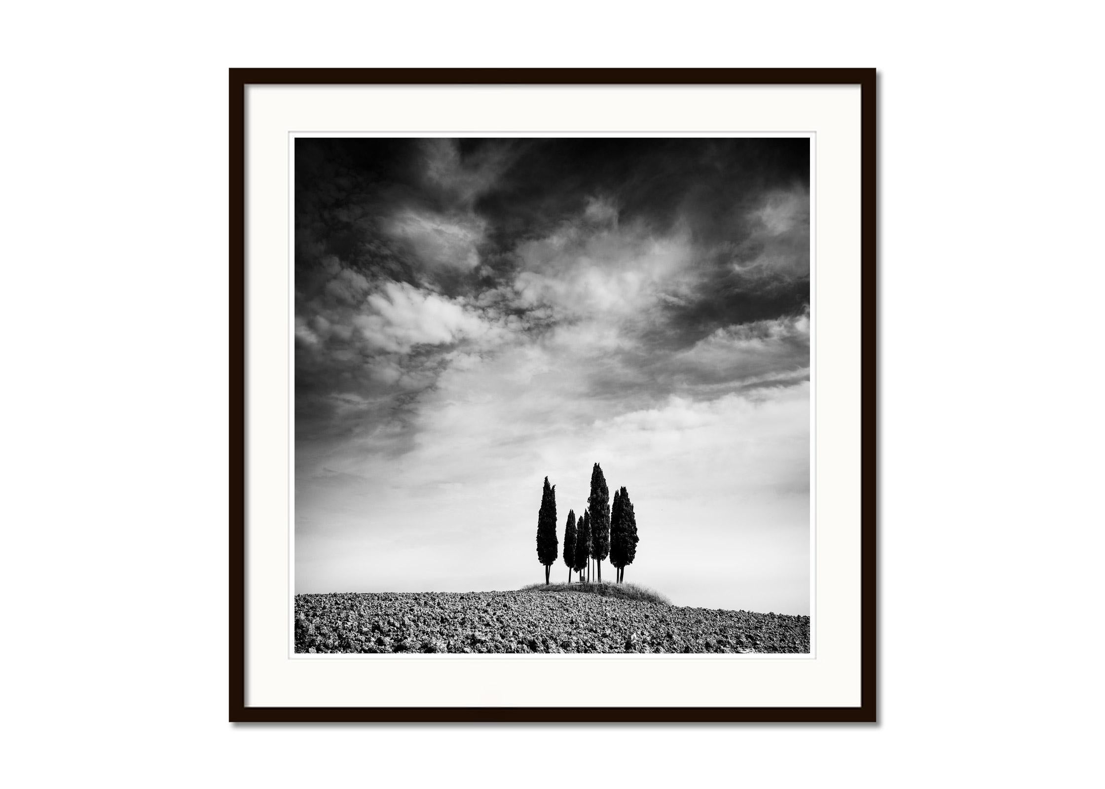 Black and white fine art landscape photography print. Cypresses circle on field with beautiful clouds in Tuscany, Italy. Archival pigment ink print, edition of 9. Signed, titled, dated and numbered by artist. Certificate of authenticity included.