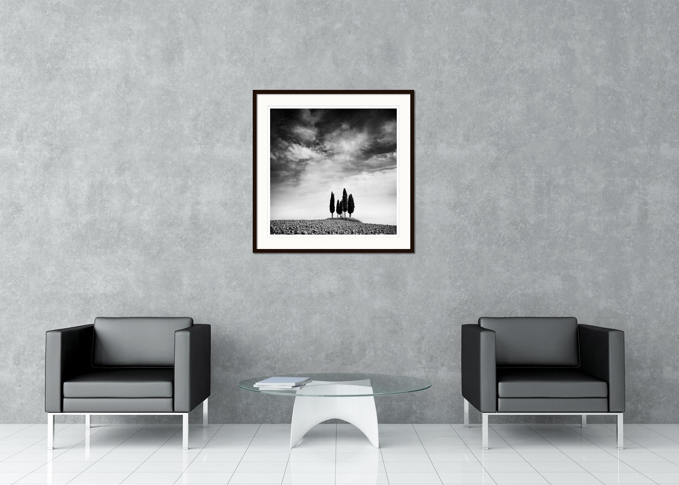 Circle of Cypress Trees, Tuscany, black and white landscape photography  For Sale 1