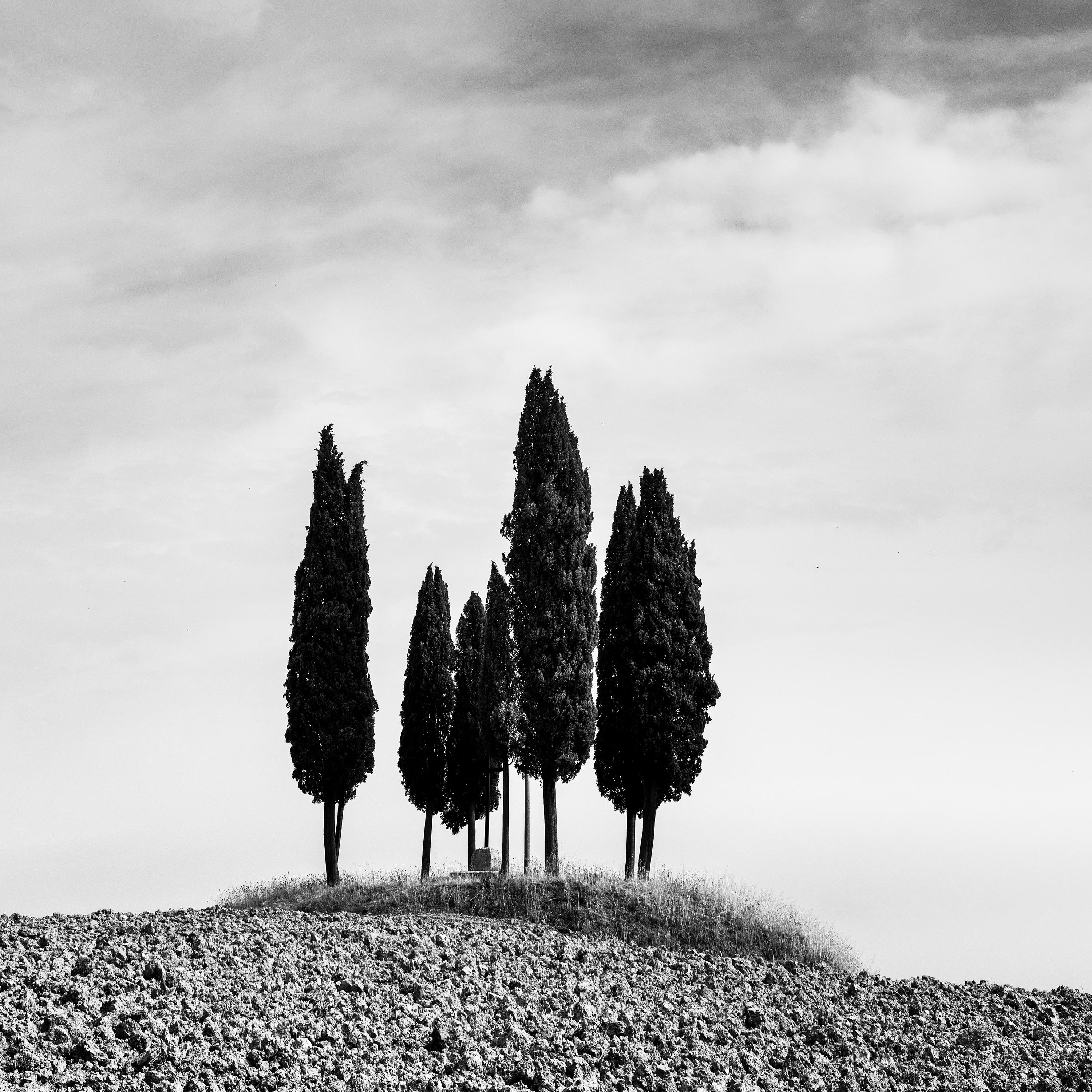 Kreis mit Zypressenbäumen, Toskana, Schwarz-Weiß-Landschaftsfotografie  im Angebot 4