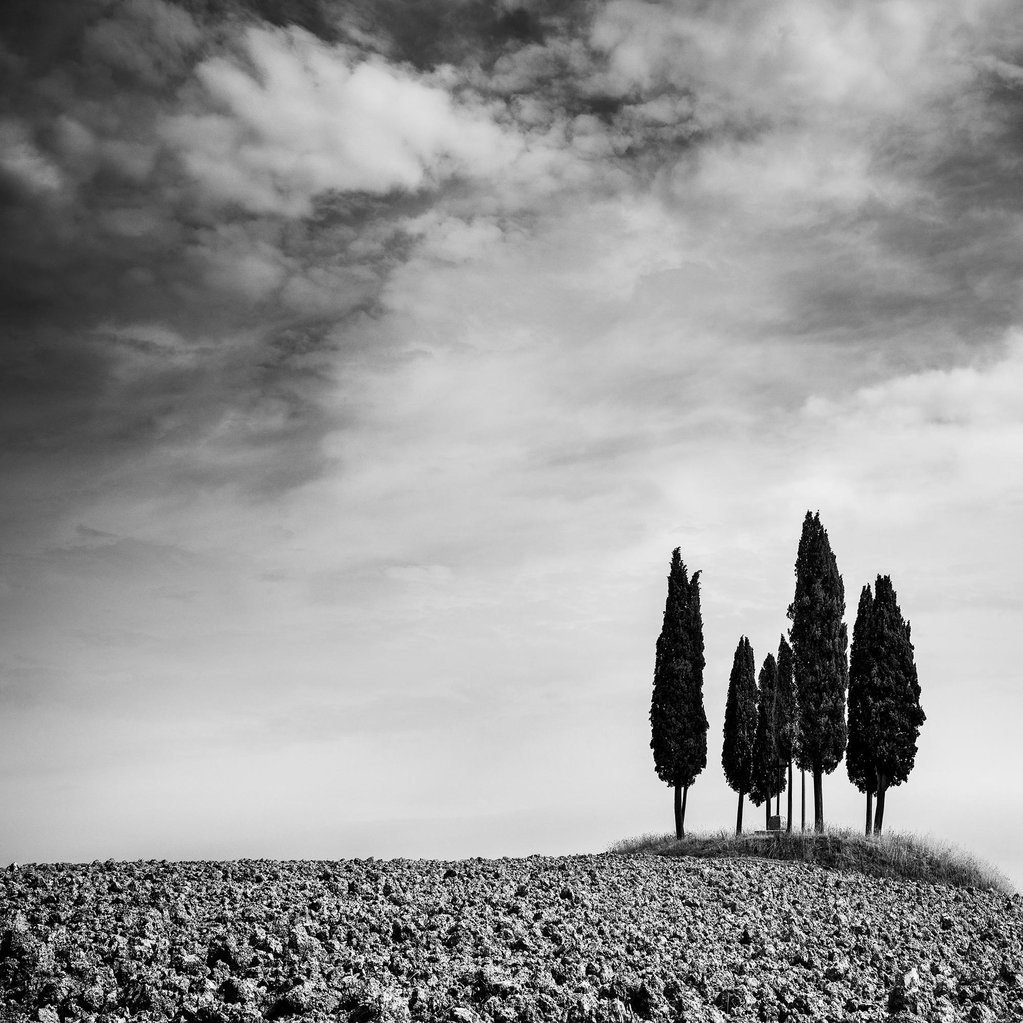 Cerchio di cipressi, Toscana, fotografia di paesaggio in bianco e nero in vendita 3