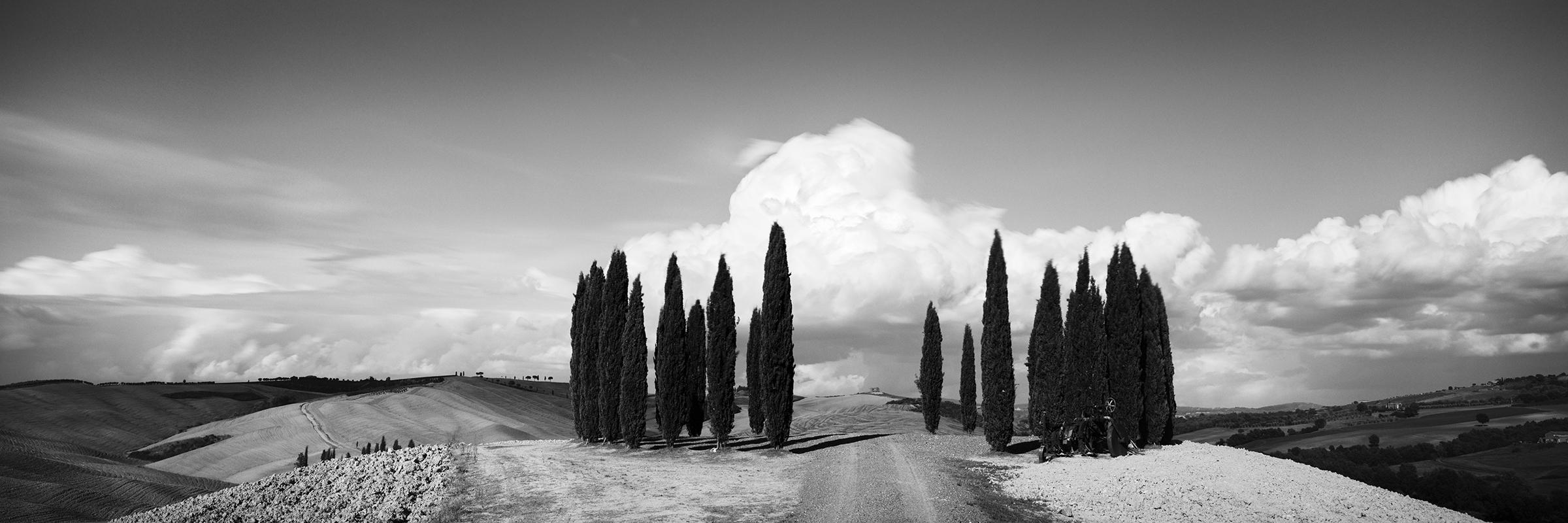 Kreis mit Zypressenbäumen, Toskana, Schwarz-Weiß-Kunstfotografie, Landschaft