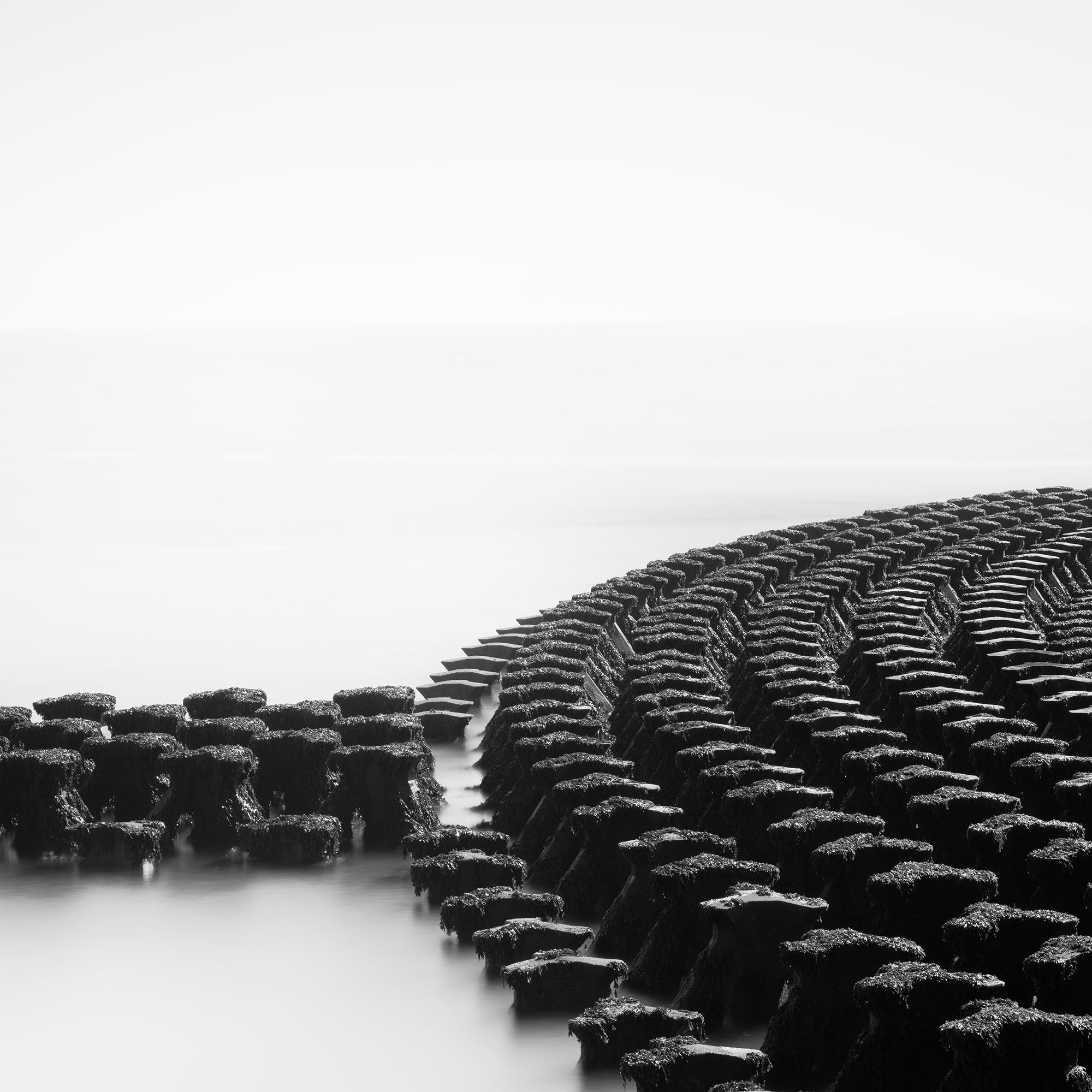 Panorama de Cobbolds Point  paysage marin, brise-vagues  Angleterre - édition limitée en vente 5