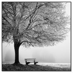 Cold Foggy Winter Morning – Minimalist Black and White Winter Landscape Photo