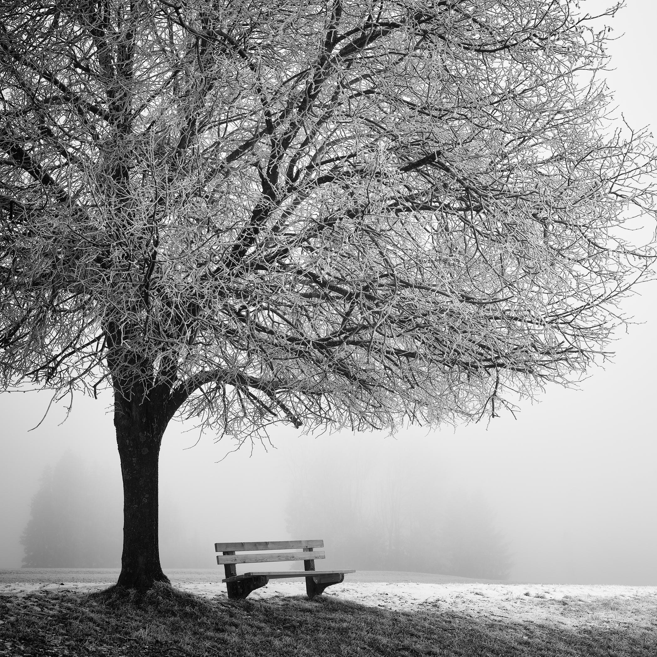 Gerald Berghammer Landscape Photograph - Cold Foggy Winter Morning – Minimalist Black and White Winter Landscape Photo