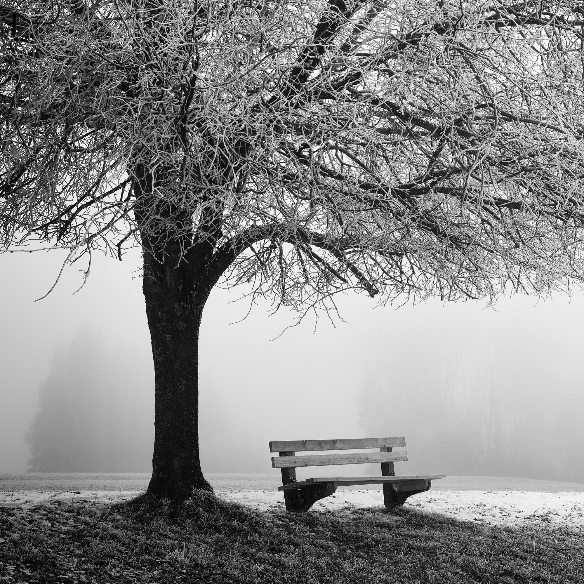 Cold foggy Winter Morning monochrome limited For Sale 5