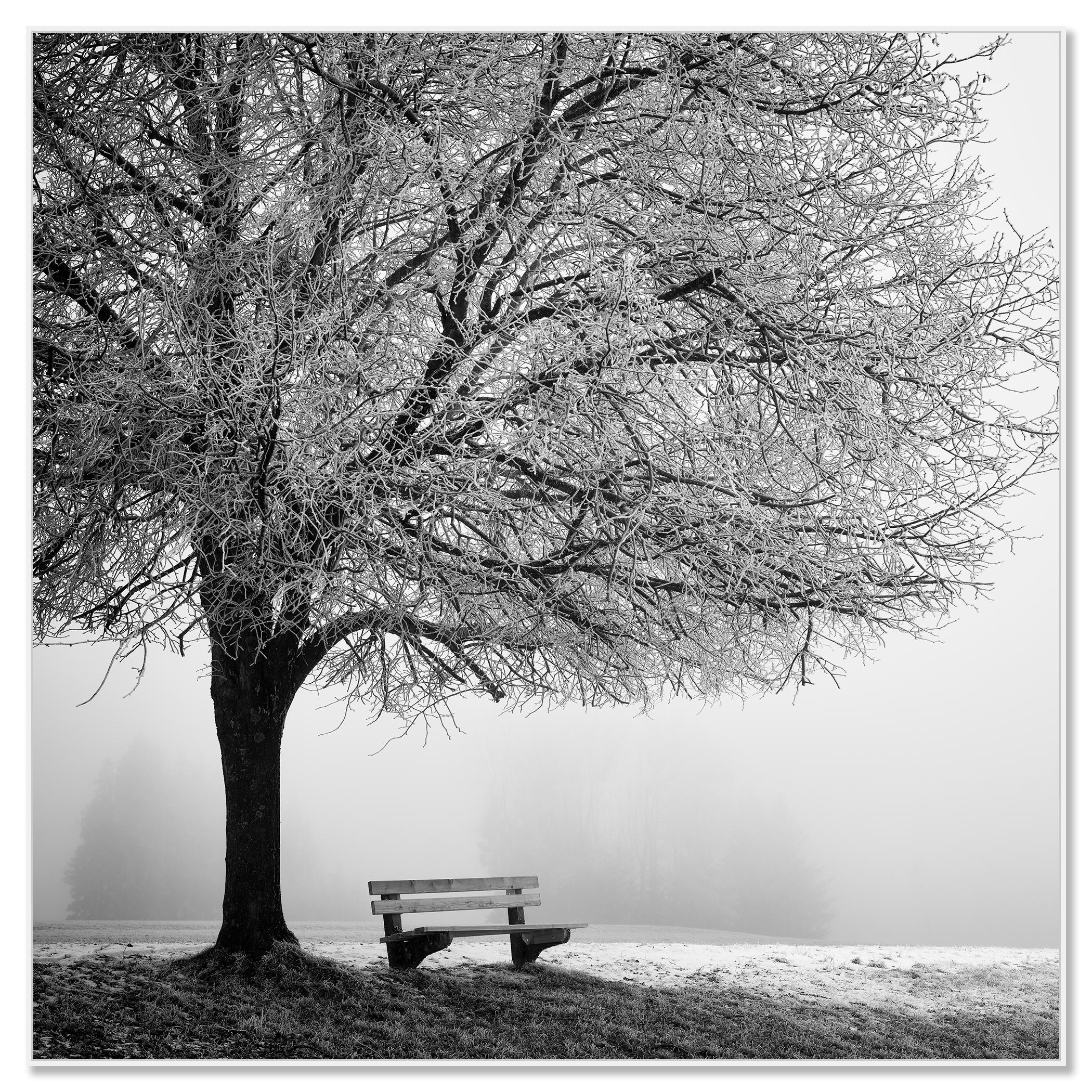 Cold foggy Winter Morning monochrome limited - Contemporary Photograph by Gerald Berghammer