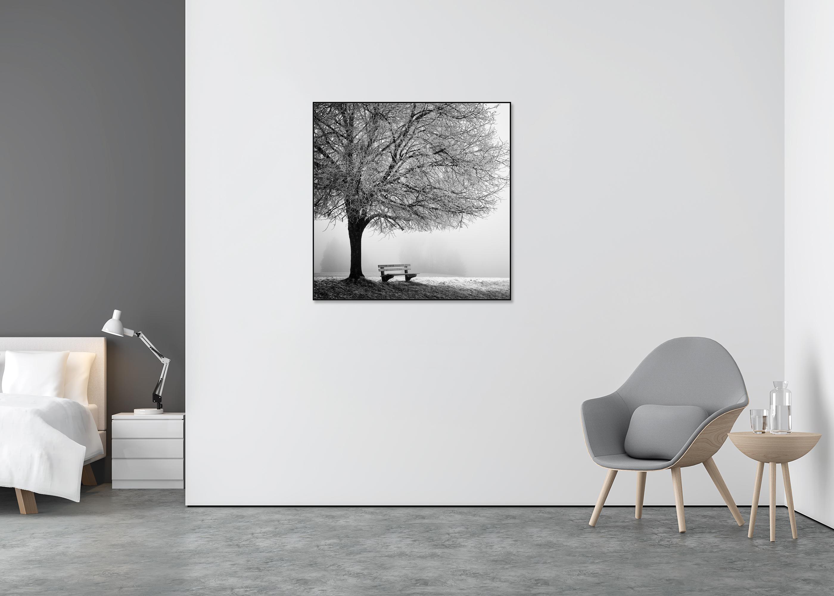 Cold foggy Winter Morning monochrome limited - Gray Landscape Photograph by Gerald Berghammer