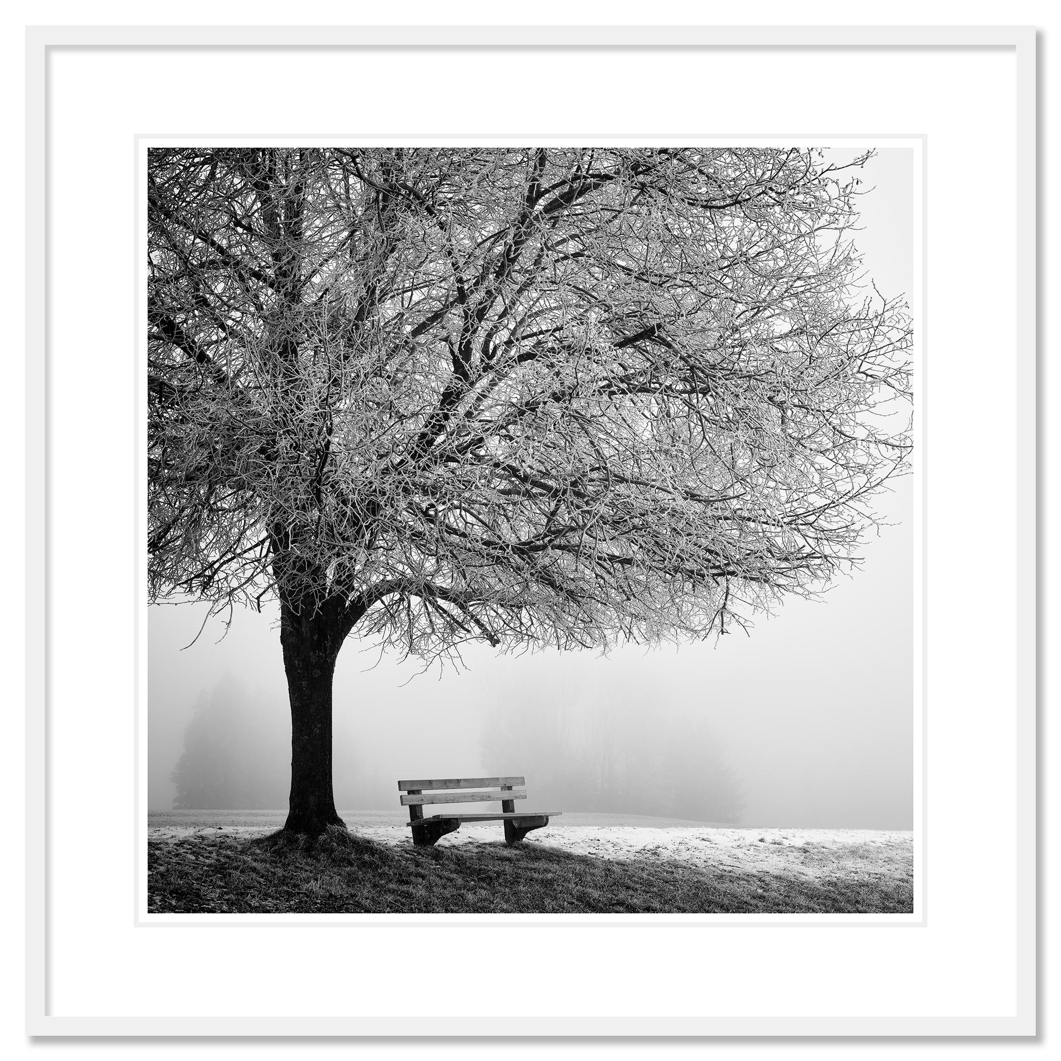 Cold foggy Winter Morning monochrome limited For Sale 1