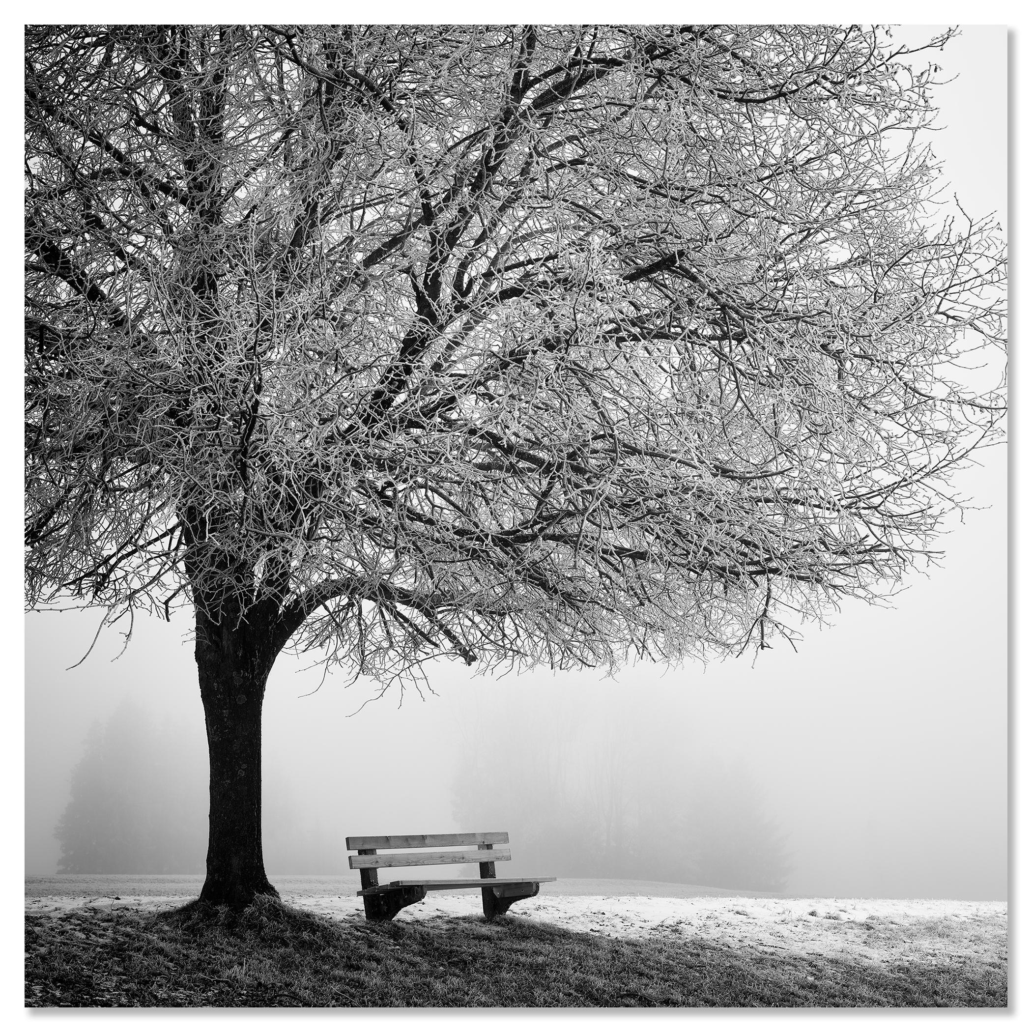 Cold foggy Winter Morning monochrome limited For Sale 3