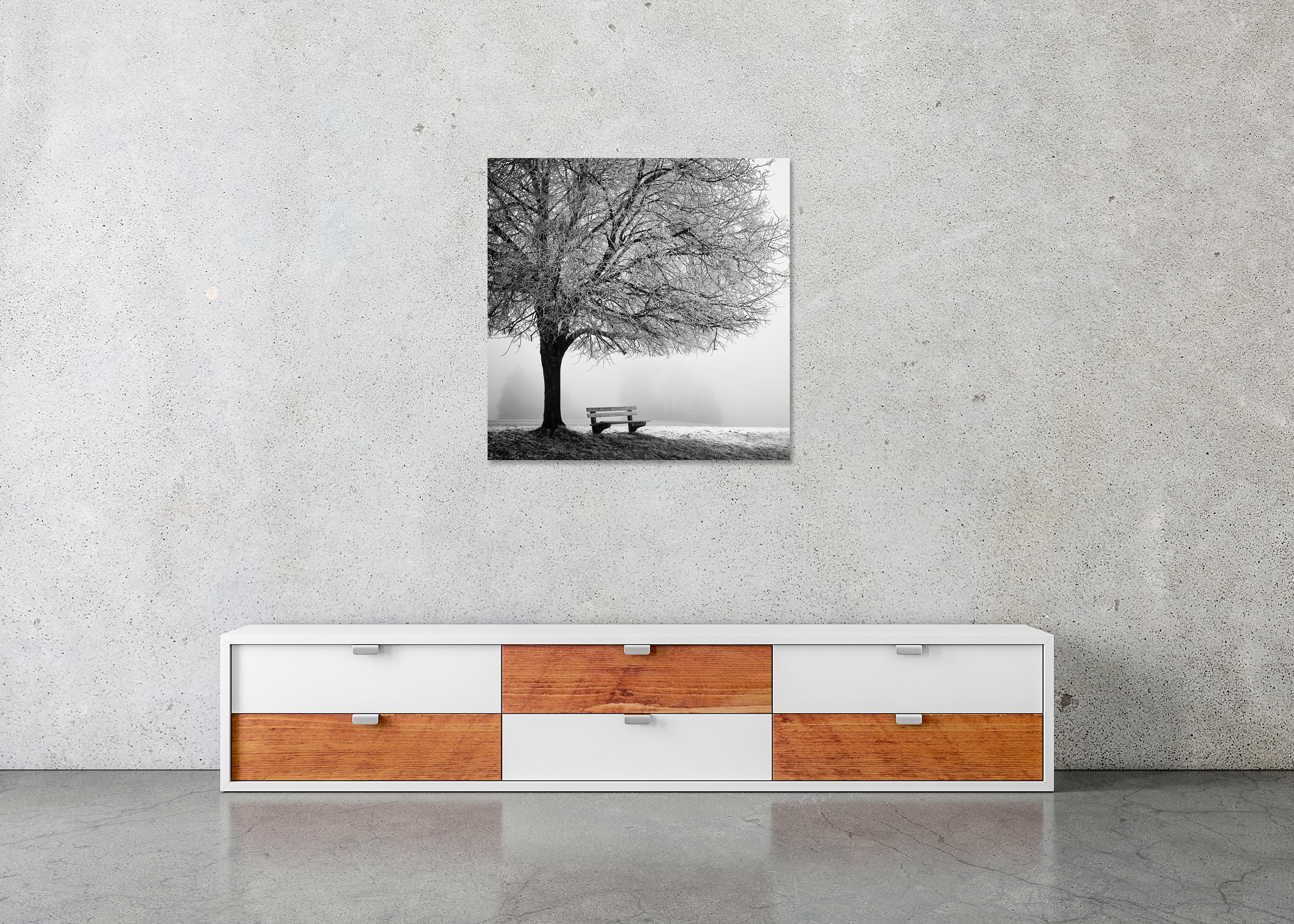 Cold foggy Winter Morning monochrome limited For Sale 4