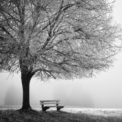 Cold foggy Winter Morning monochrome limited
