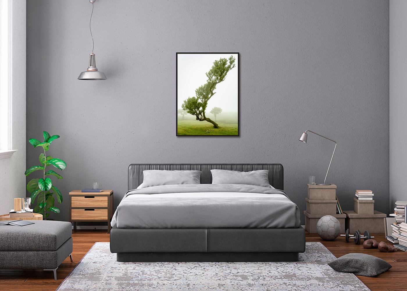 Albero di alloro curvo, fotografia a colori di grande formato, paesaggio in edizione limitata in vendita 1