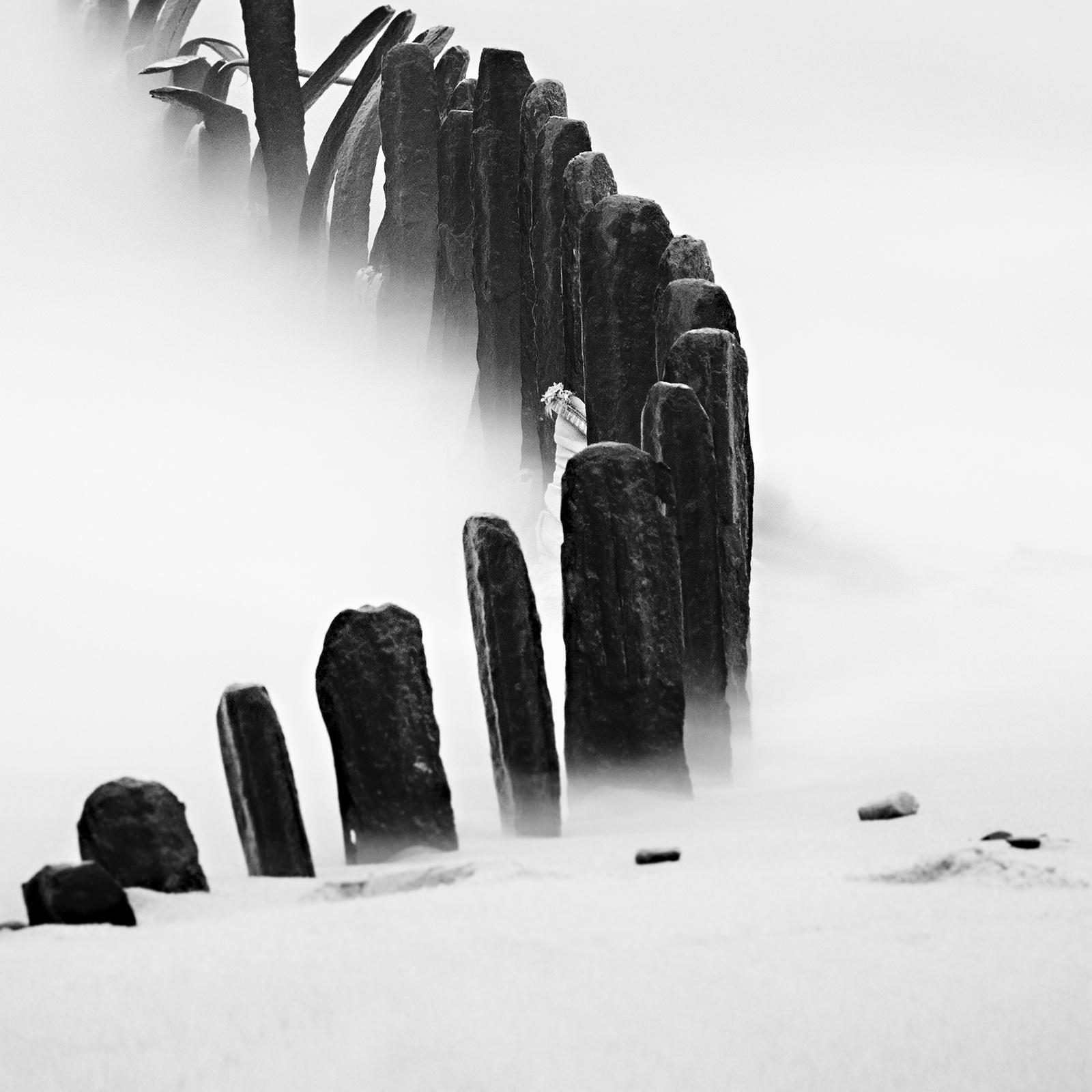 Curved Line, Sylt, black and white photograph, landscape, limited edition print For Sale 3