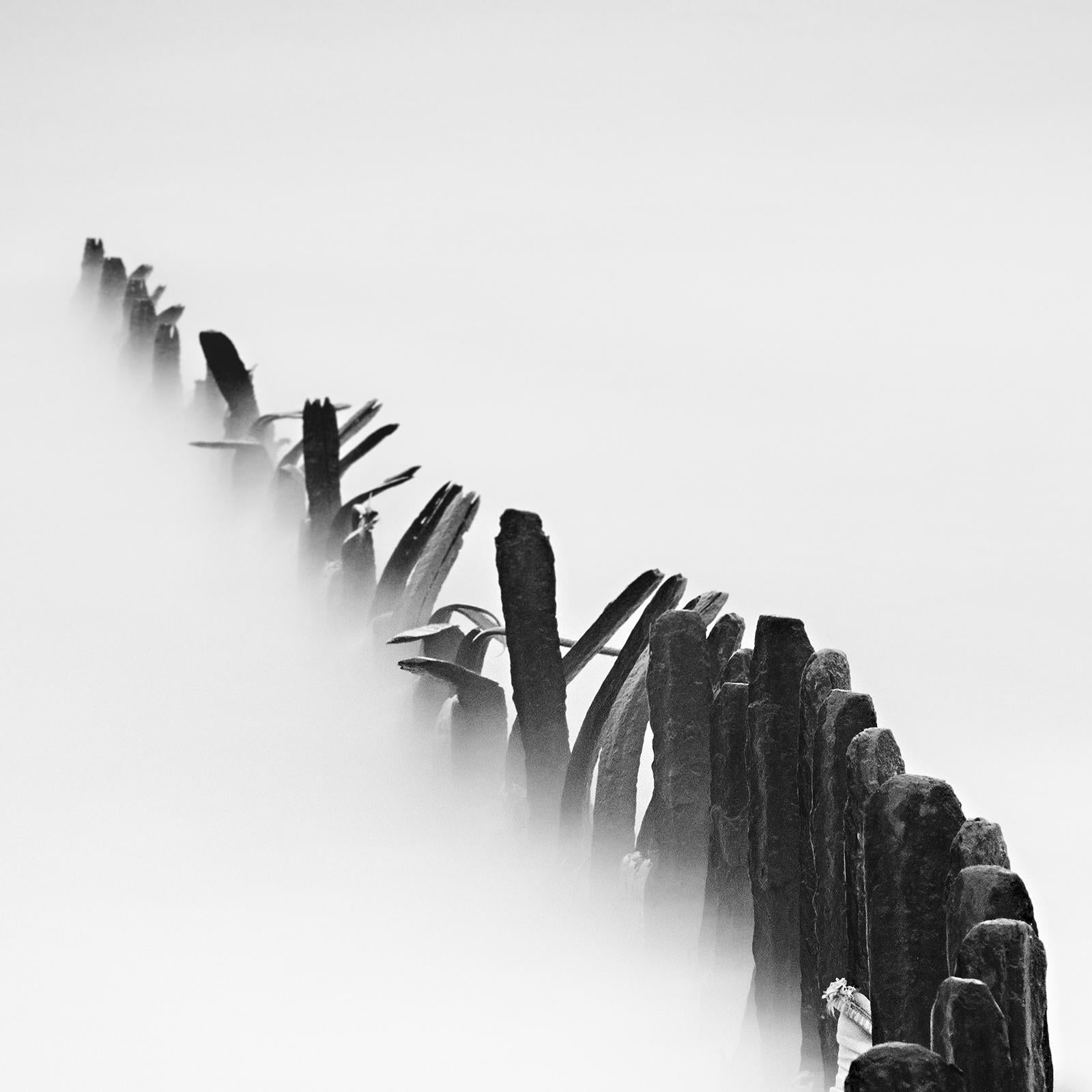 Curved Line, Sylt, black and white photograph, landscape, limited edition print For Sale 4