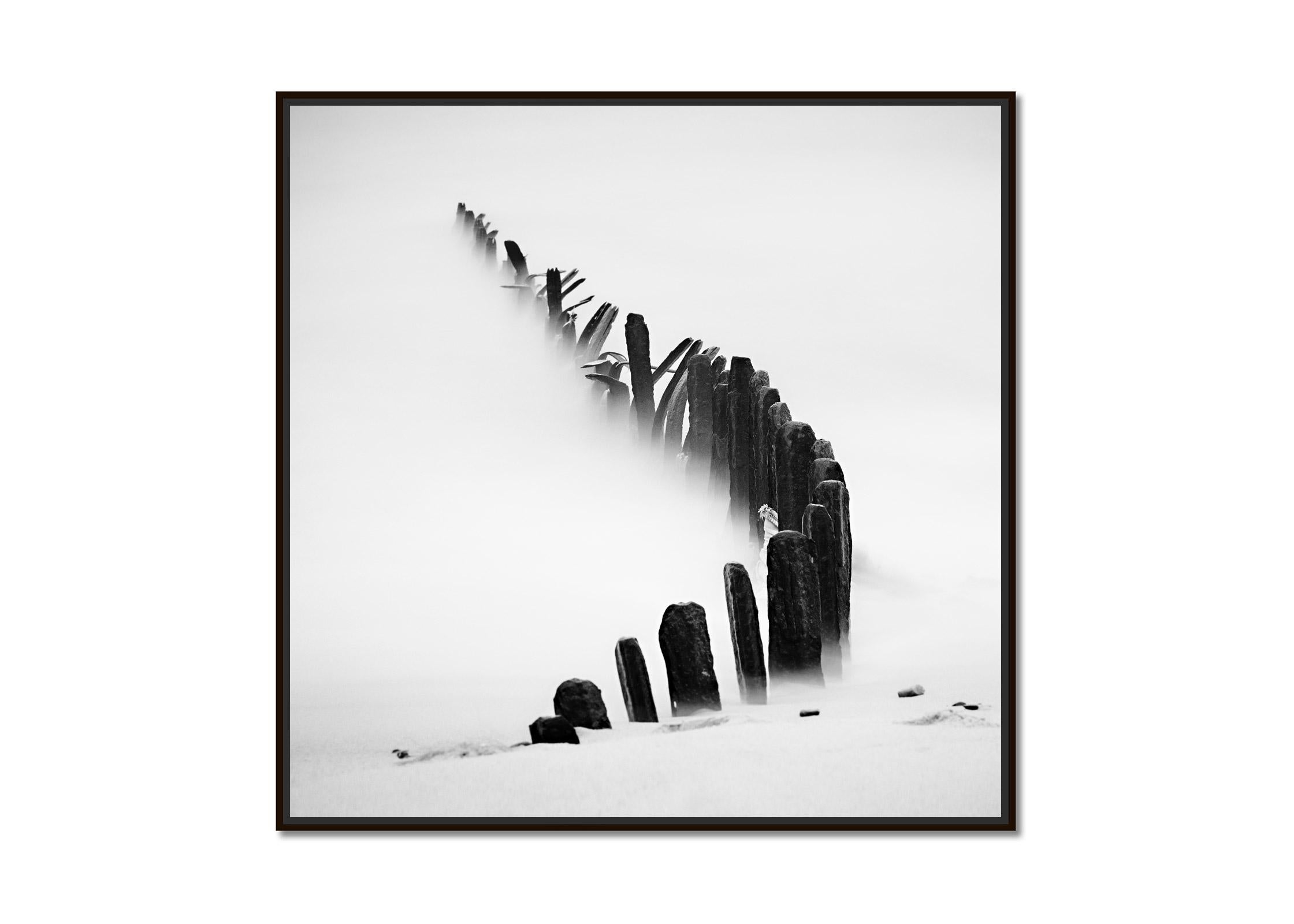 Curved Line, Sylt, Germany, black and white art photography, fine art landscape - Photograph by Gerald Berghammer