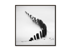 Curved Line, Sylt, black and white photograph, landscape, limited edition print