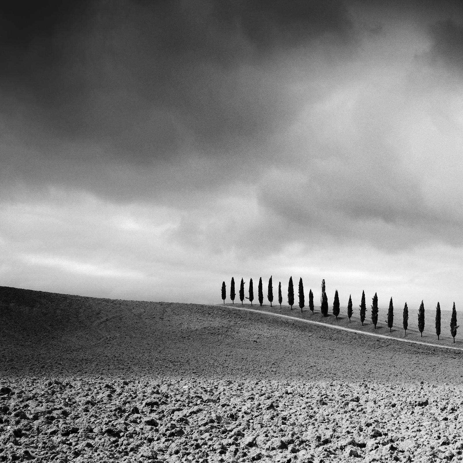 Cypress Tree Avenue, Panorama, Tuscany, black and white photography, landscape For Sale 3