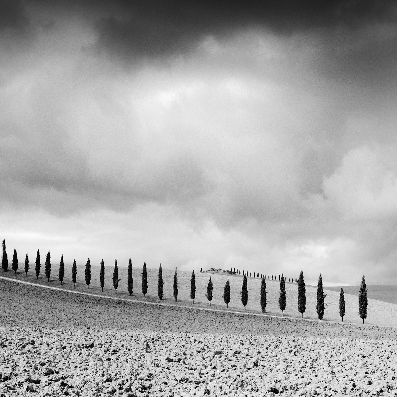 Cypress Tree Avenue, Panorama, Tuscany, black and white photography, landscape For Sale 4