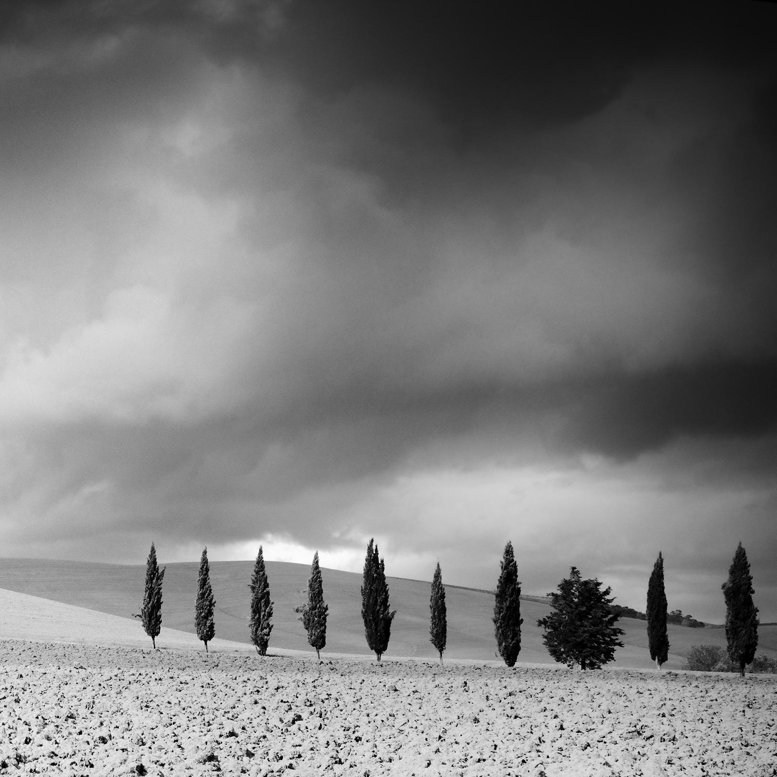 Cypress Tree Avenue, Panorama, Tuscany, black and white photography, landscape For Sale 5