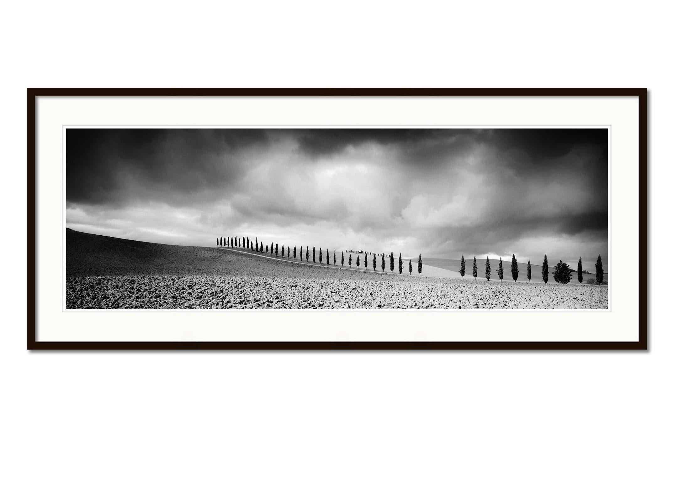 Cypress Tree Avenue, Panorama, Tuscany, black and white photography, landscape - Gray Black and White Photograph by Gerald Berghammer