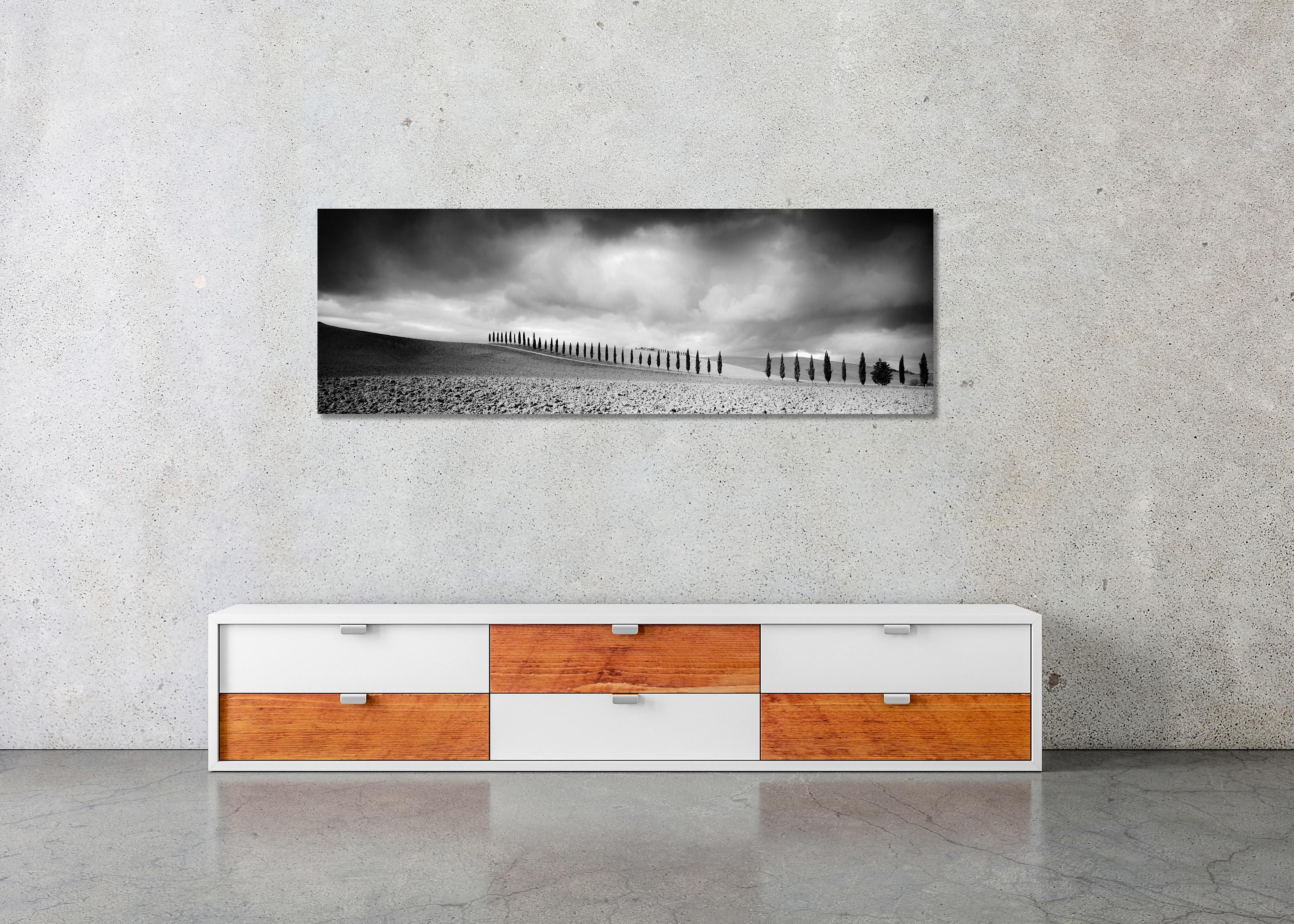 Cypress Tree Avenue, Panorama, Tuscany, black and white photography, landscape For Sale 2
