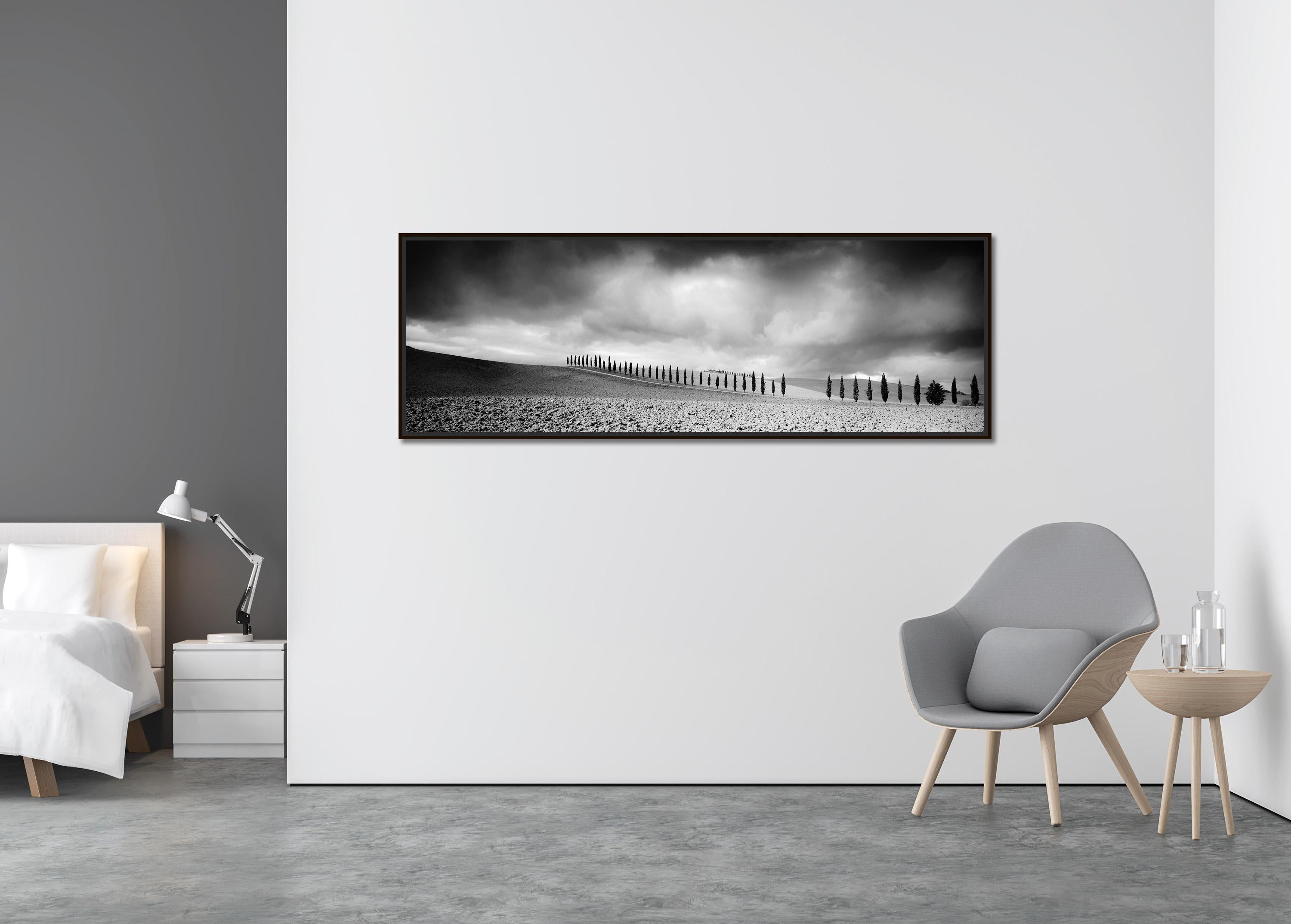 Cypress Tree Avenue, Panorama, Tuscany, black and white photography, landscape - Contemporary Photograph by Gerald Berghammer