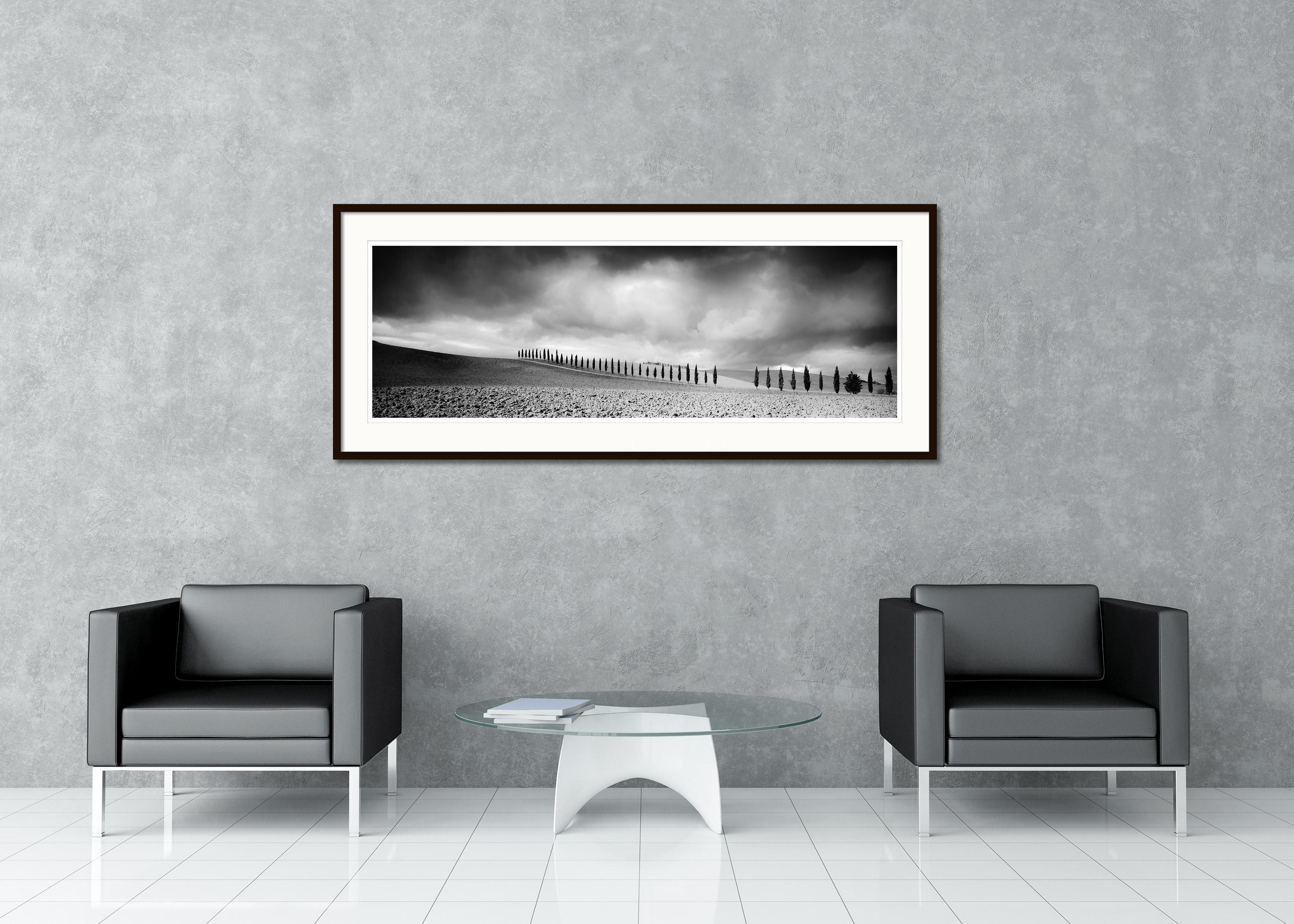 Black and white fine art landscape panorama photography. Cypress tree avenue along a path in stormy weather in Tuscany, Italy. Archival pigment ink print, edition of 9. Signed, titled, dated and numbered by artist. Certificate of authenticity