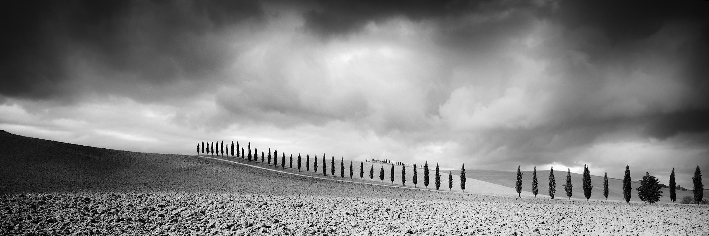 Gerald Berghammer Black and White Photograph - Cypress Tree Avenue, Panorama, Tuscany, black and white photography, landscape