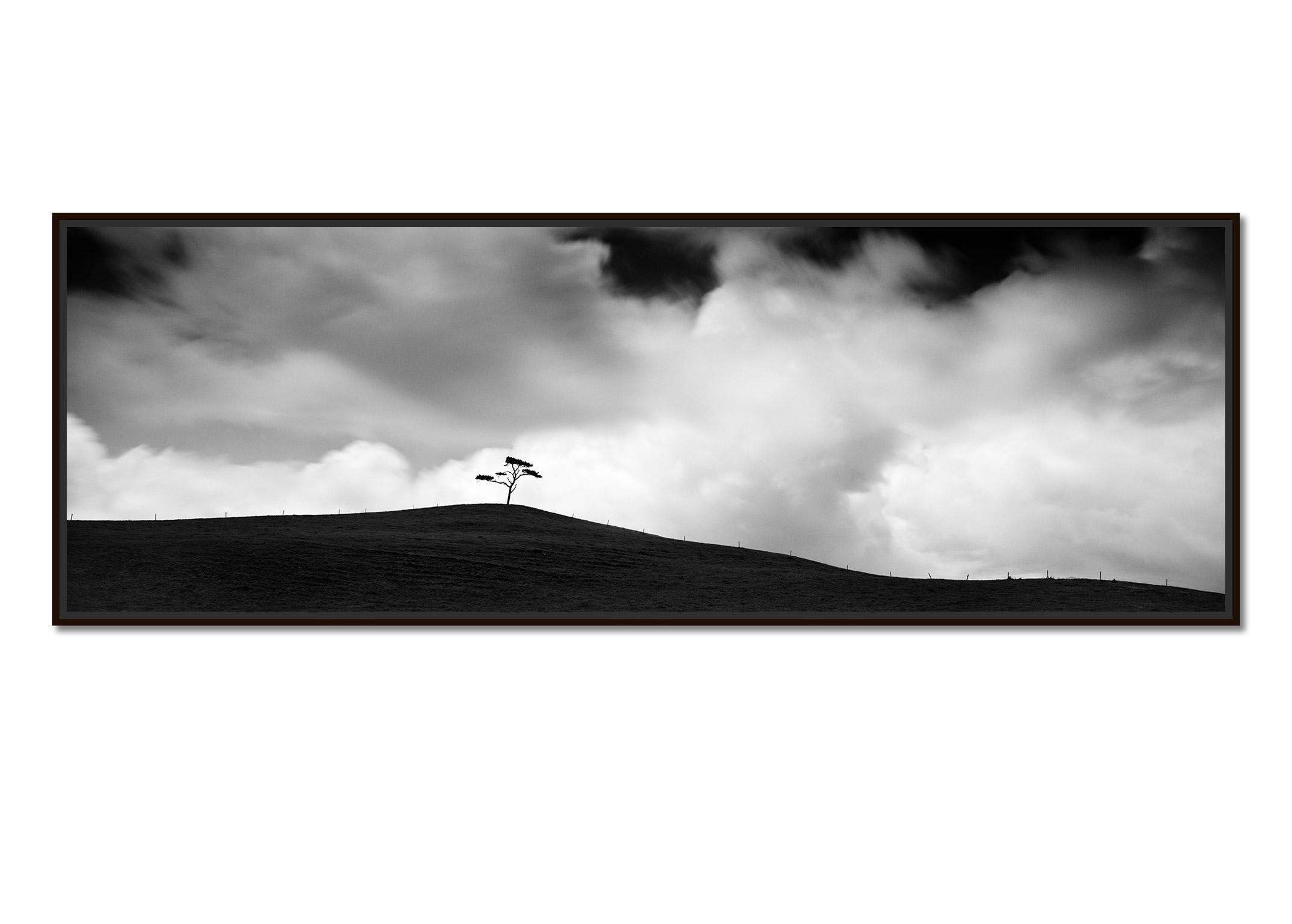 Cypress Hill Panorama, single Tee, black and white photography, art landscape - Photograph by Gerald Berghammer