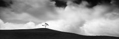 Cypress Hill Panorama, single Tee, black and white photography, art landscape