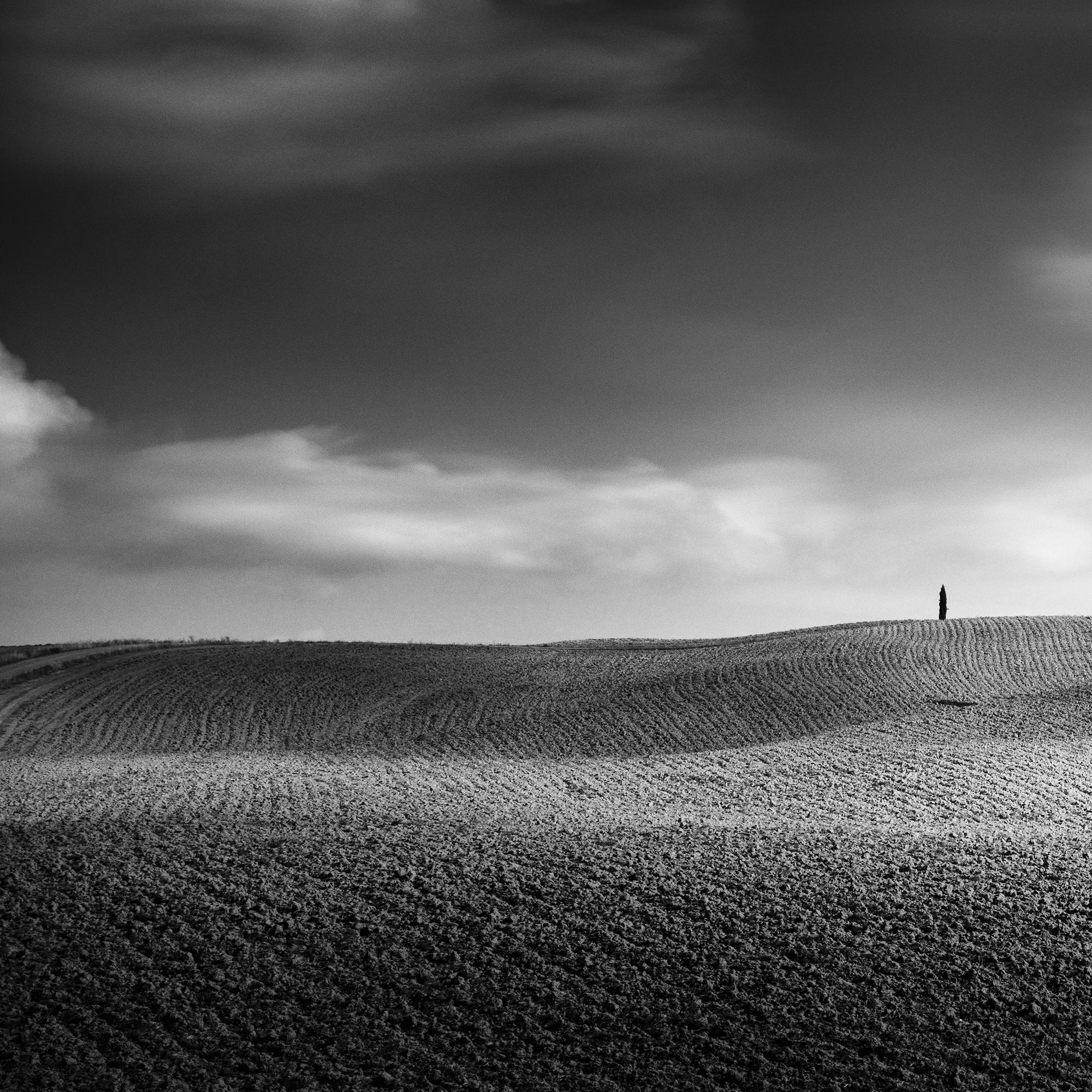 Cypress Hill Panorama, Trees, Tuscany, black and white photography, landscape For Sale 2
