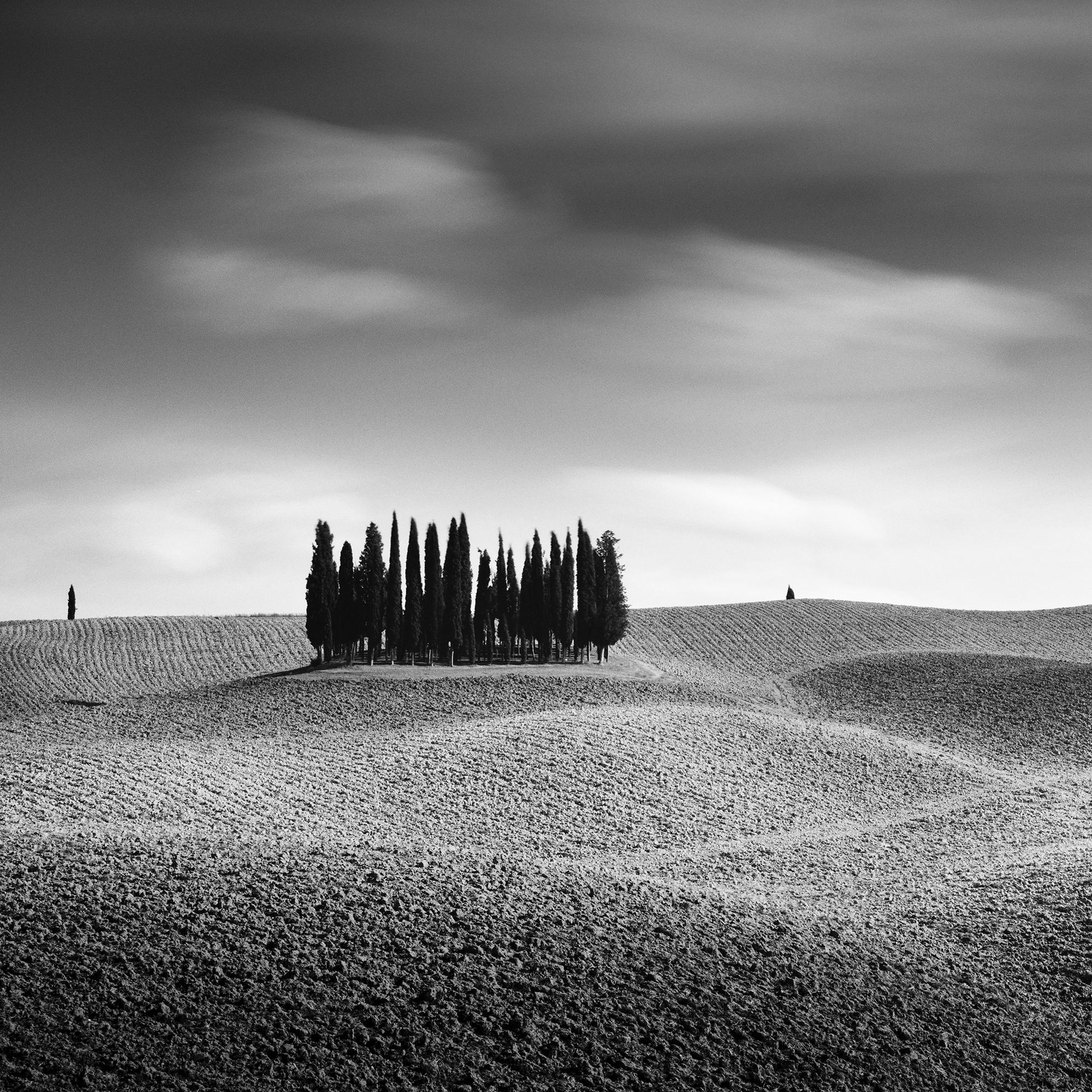 Cypress Hill Panorama, Trees, Tuscany, black and white photography, landscape For Sale 3