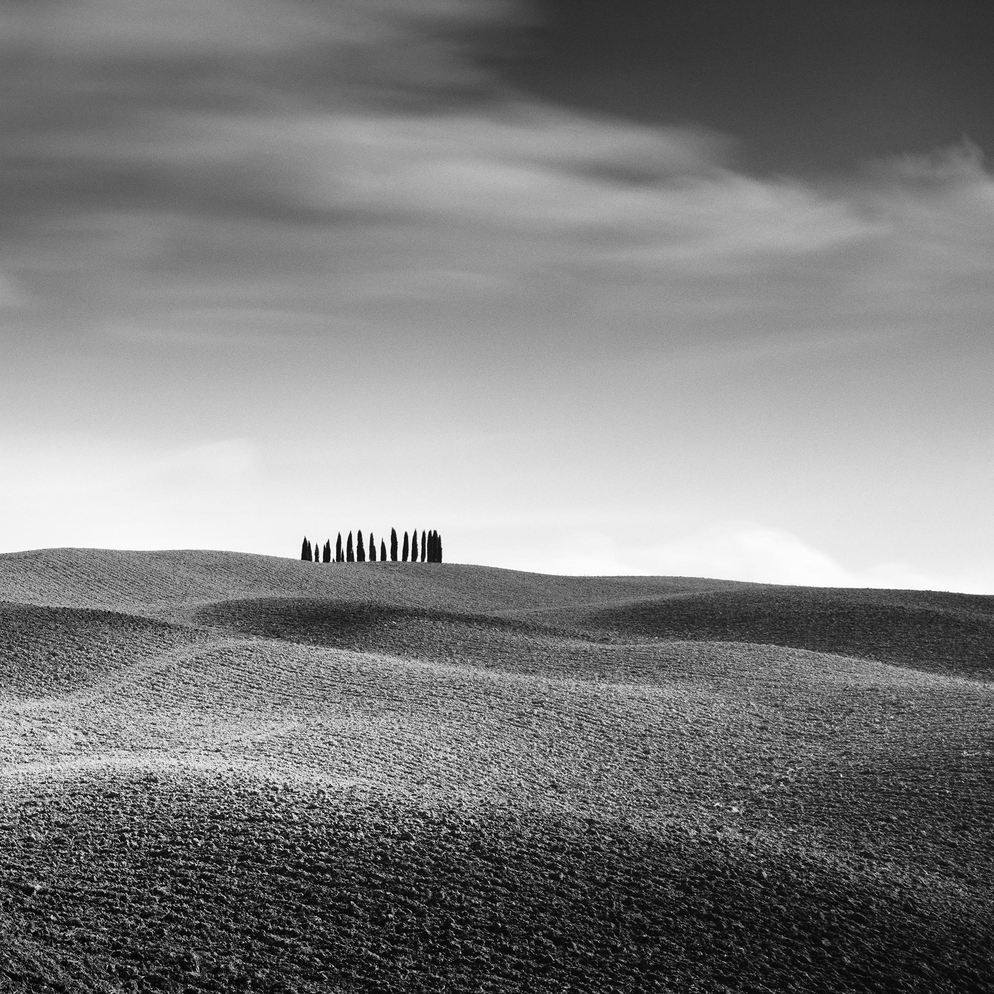 Cypress Hill Panorama, Trees, Tuscany, black and white photography, landscape For Sale 4