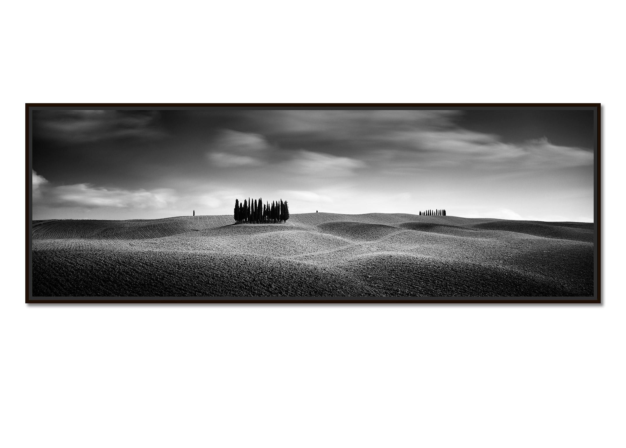 Cypress Hill Panorama, Trees, Tuscany, black and white photography, landscape - Photograph by Gerald Berghammer